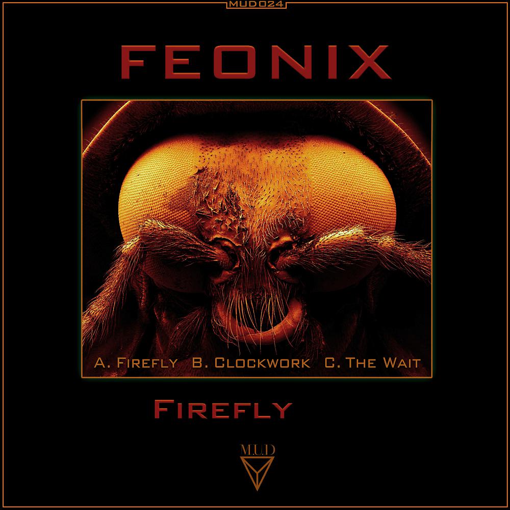 Постер альбома Firefly