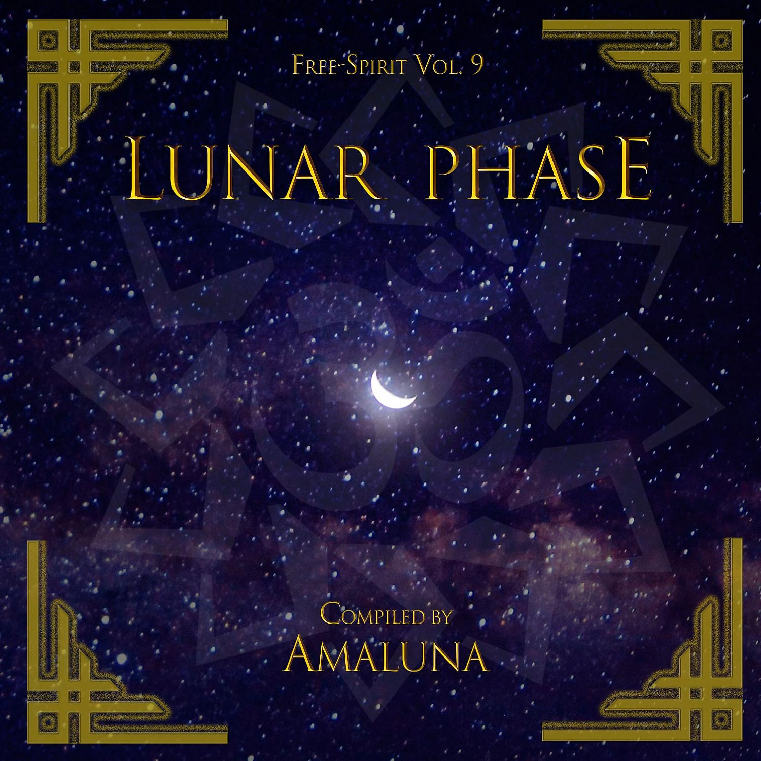Постер альбома Lunar Phase