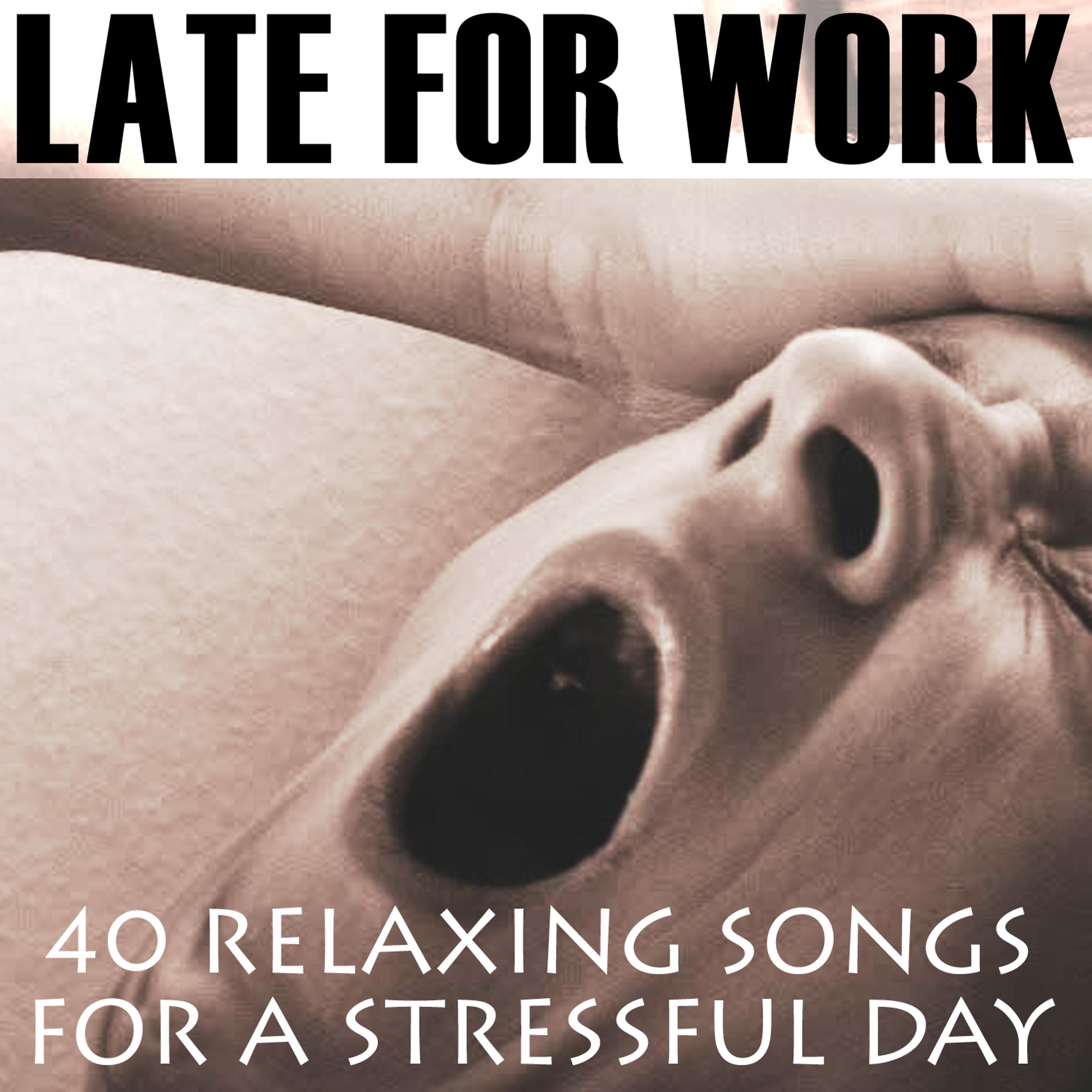 Постер альбома Late for Work: 40 Relaxing Songs for a Stressful Day