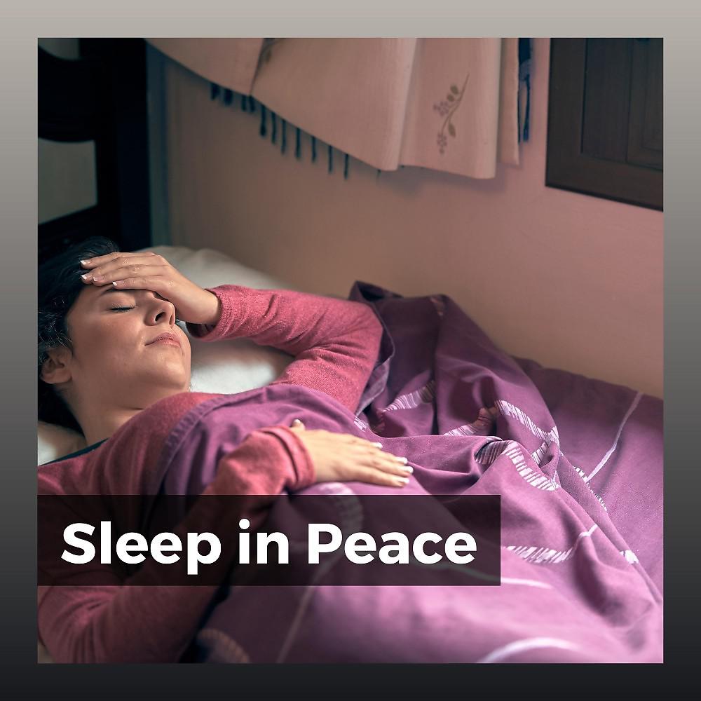 Постер альбома Sleep in Peace