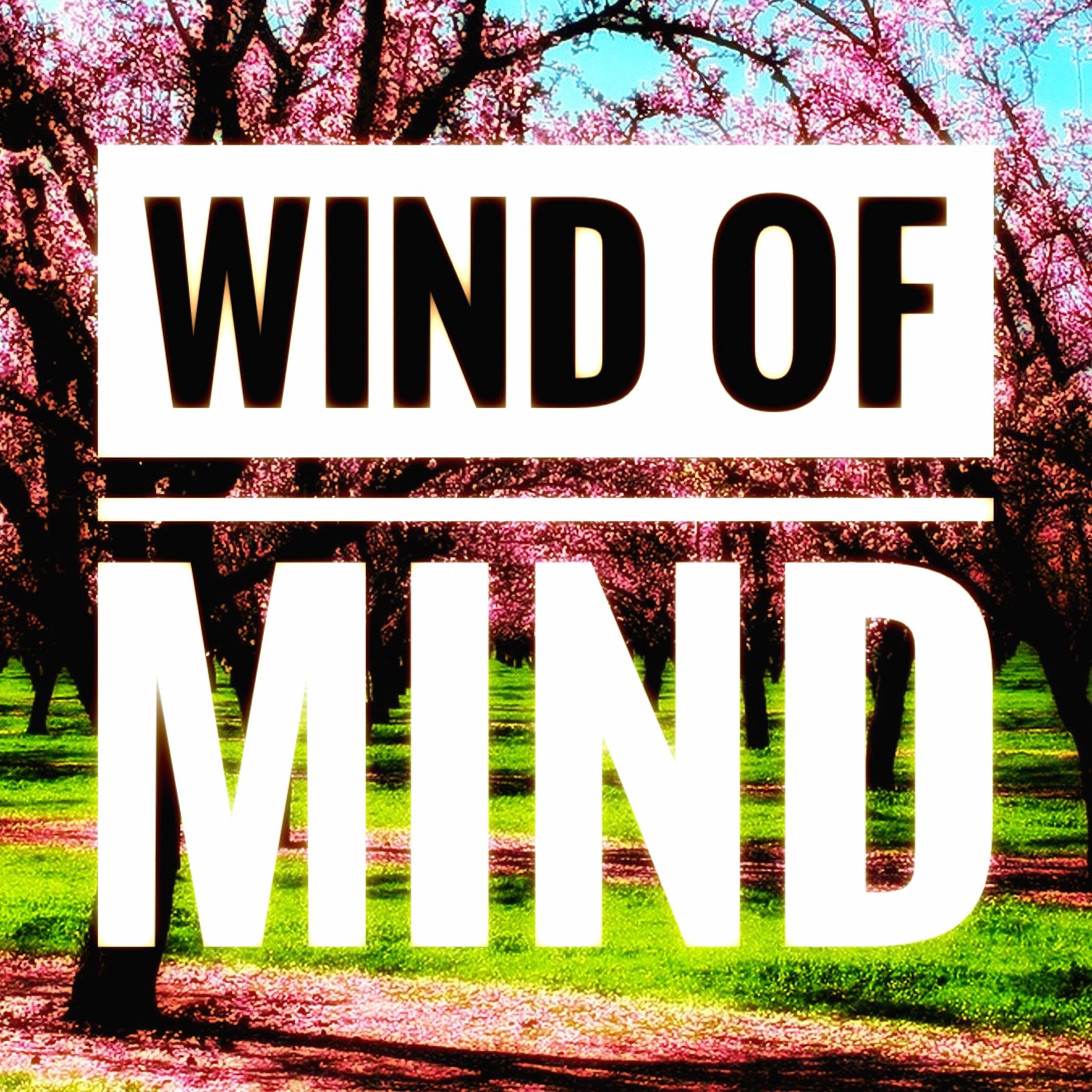 Постер альбома Wind of Mind