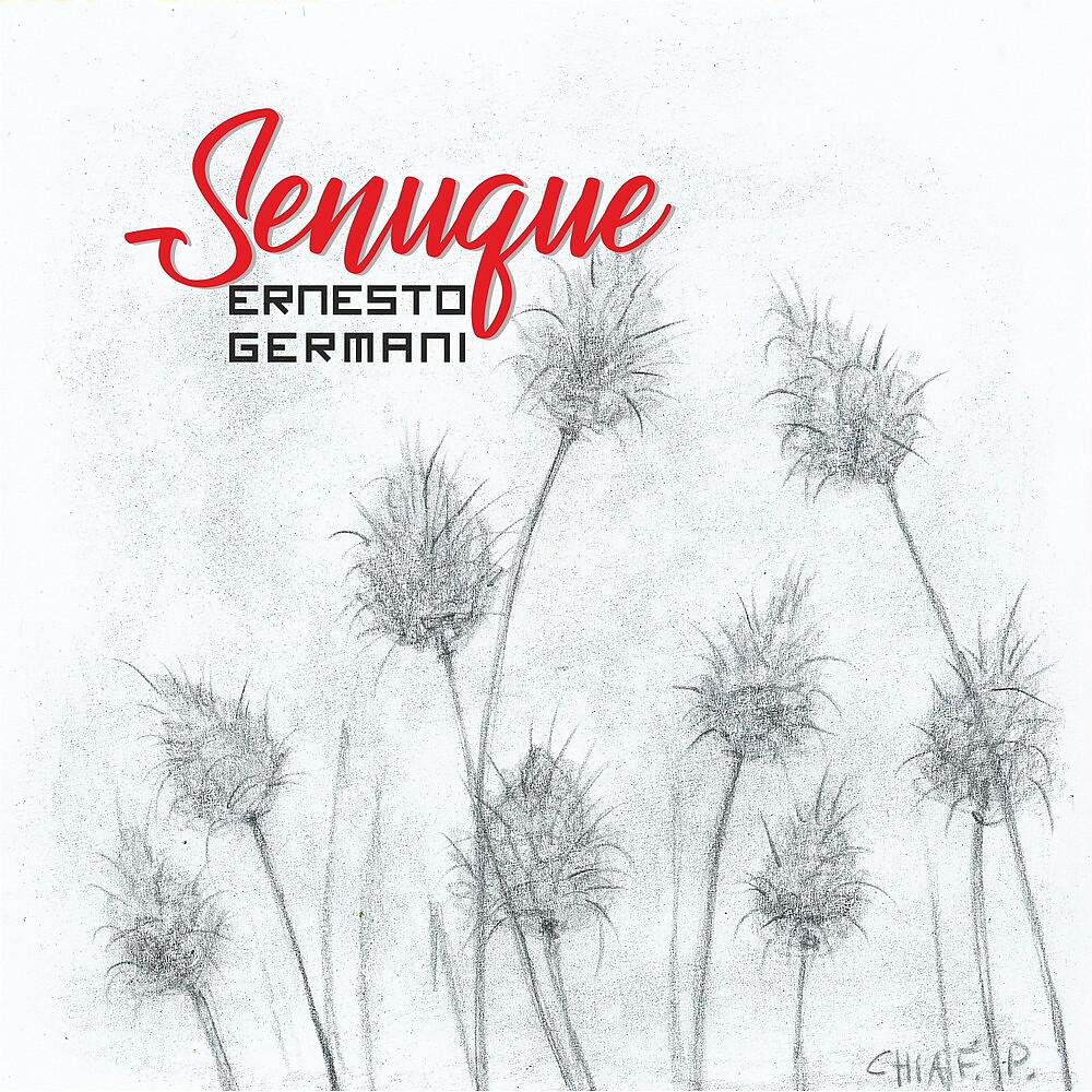 Постер альбома Senuque