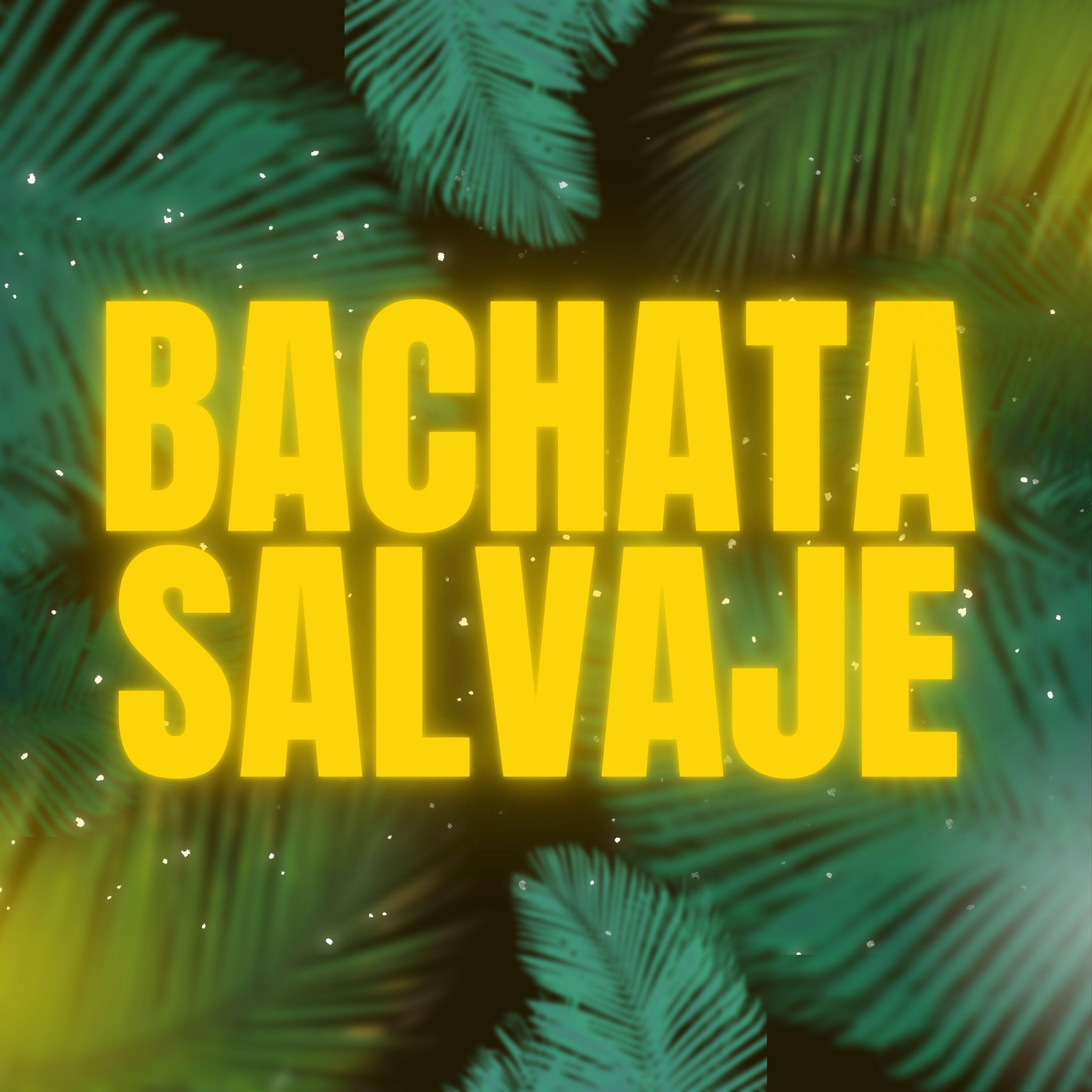 Постер альбома Bachata salvaje