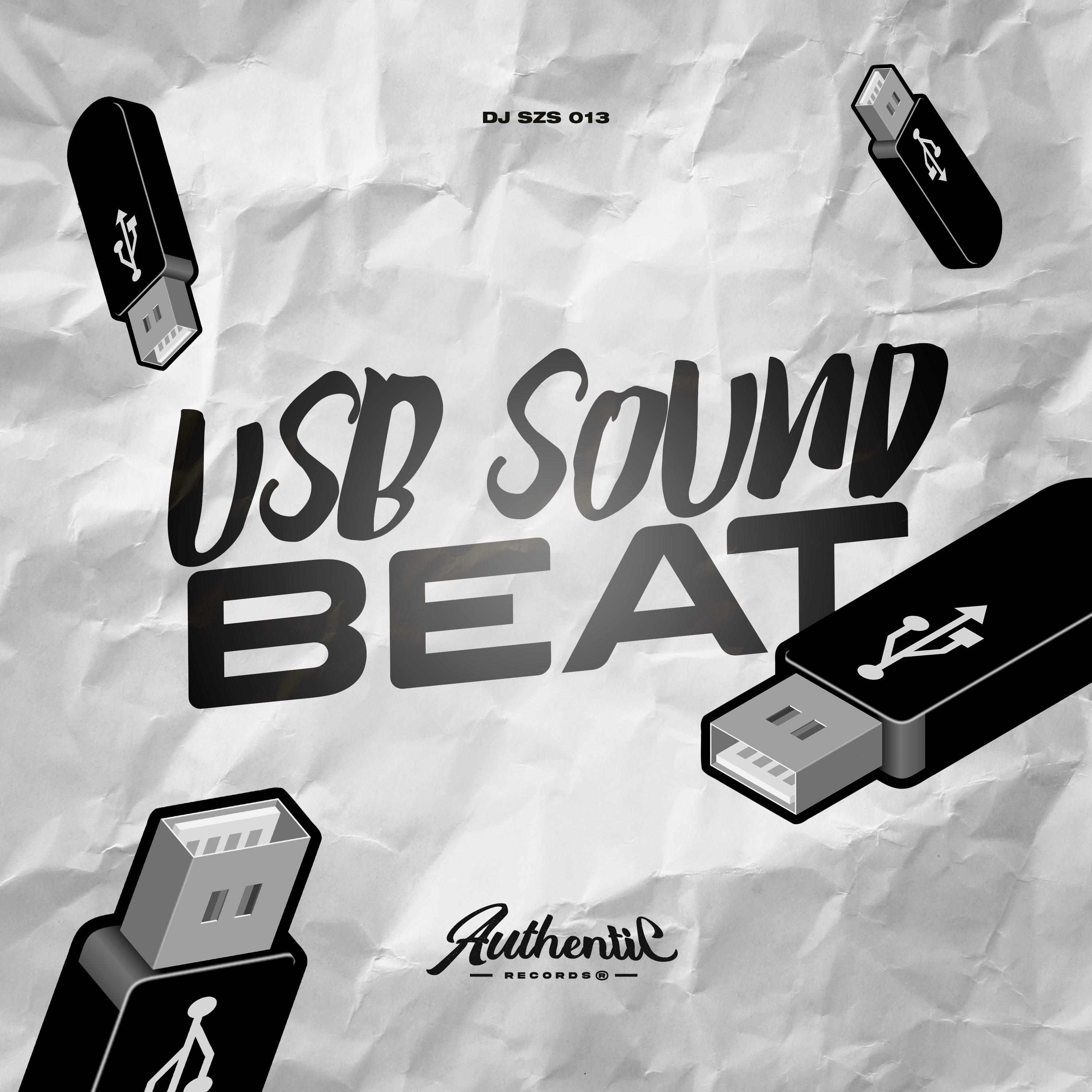 Постер альбома Usb Sound Beat