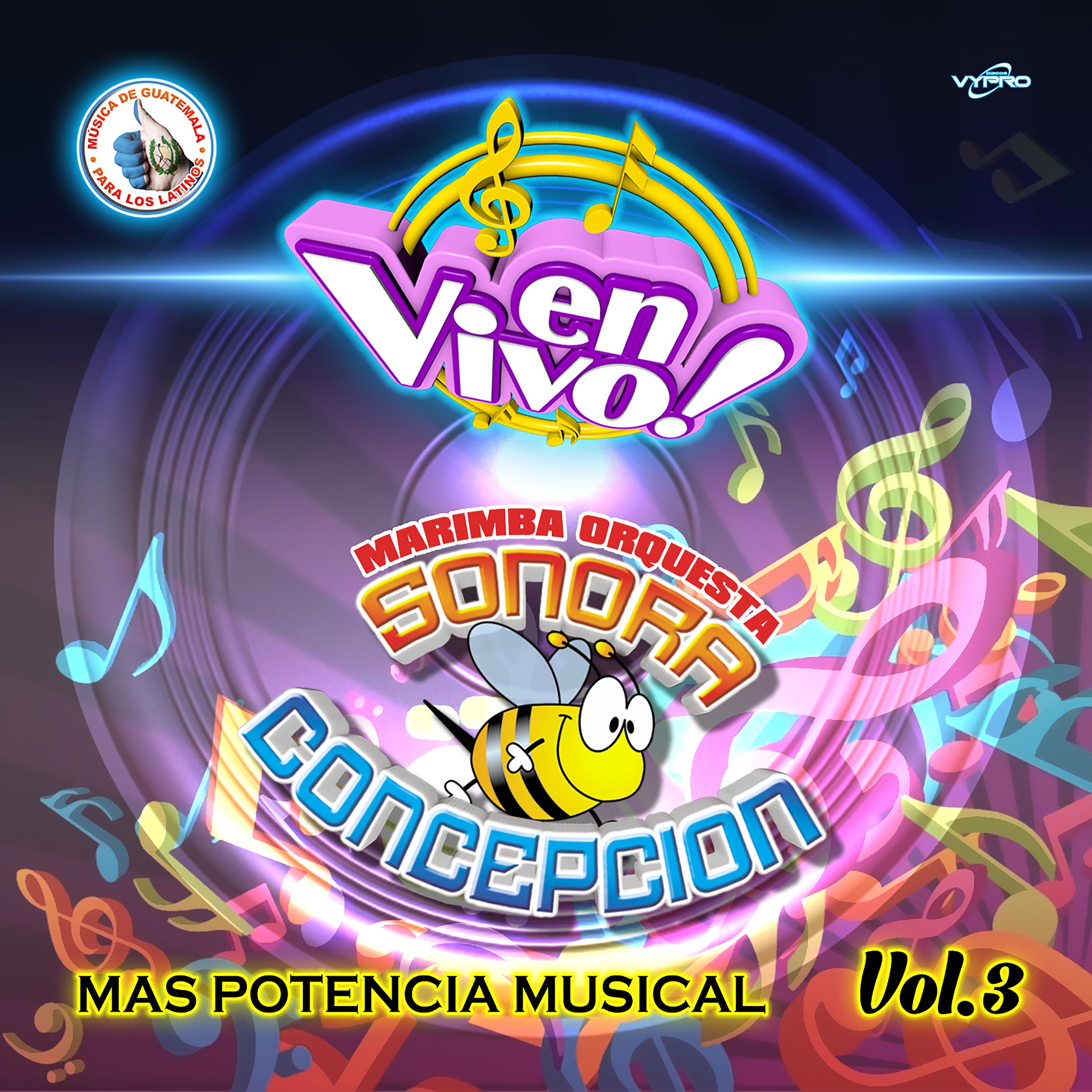 Постер альбома Mas Potencia Musical Vol. 3. Música de Guatemala para los Latinos (En Vivo)