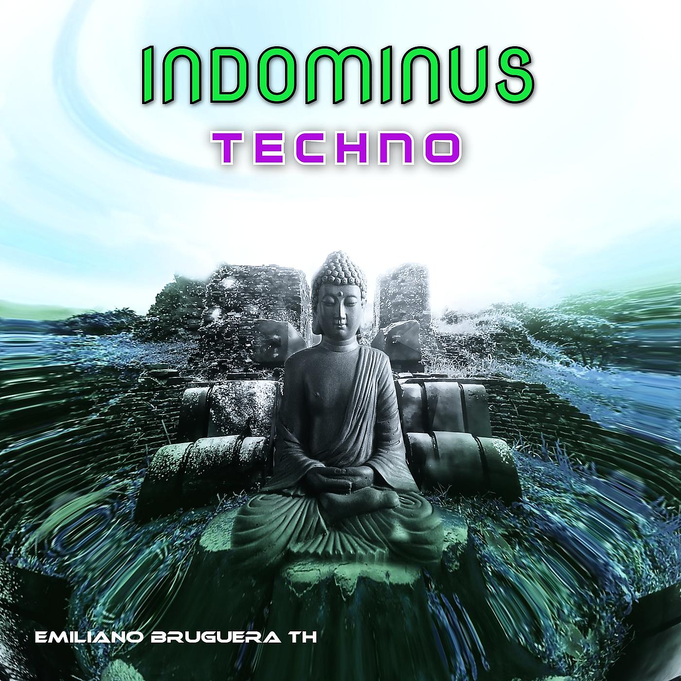 Постер альбома Indominus Techno