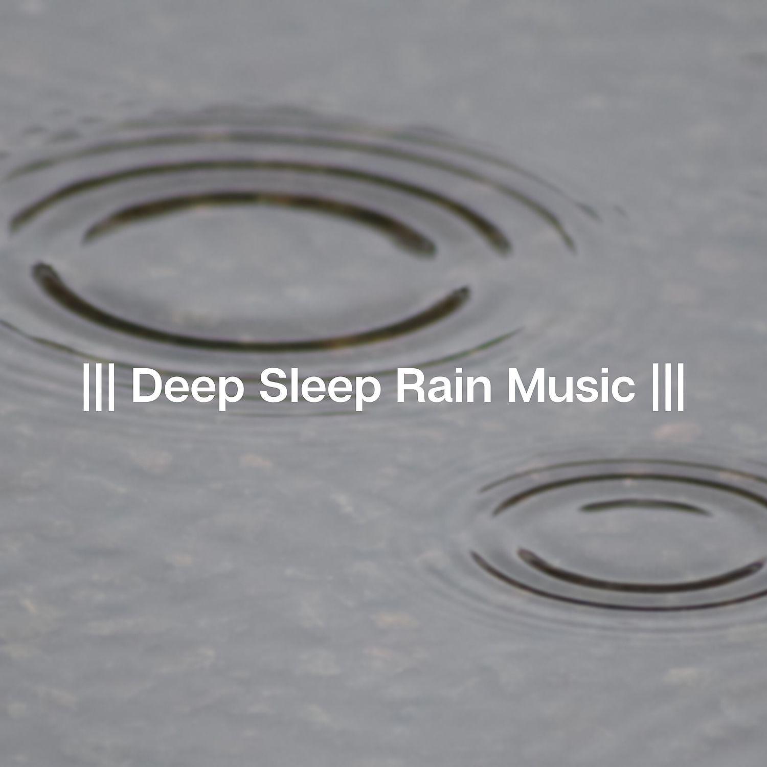 Постер альбома Deep Sleep Rain Music
