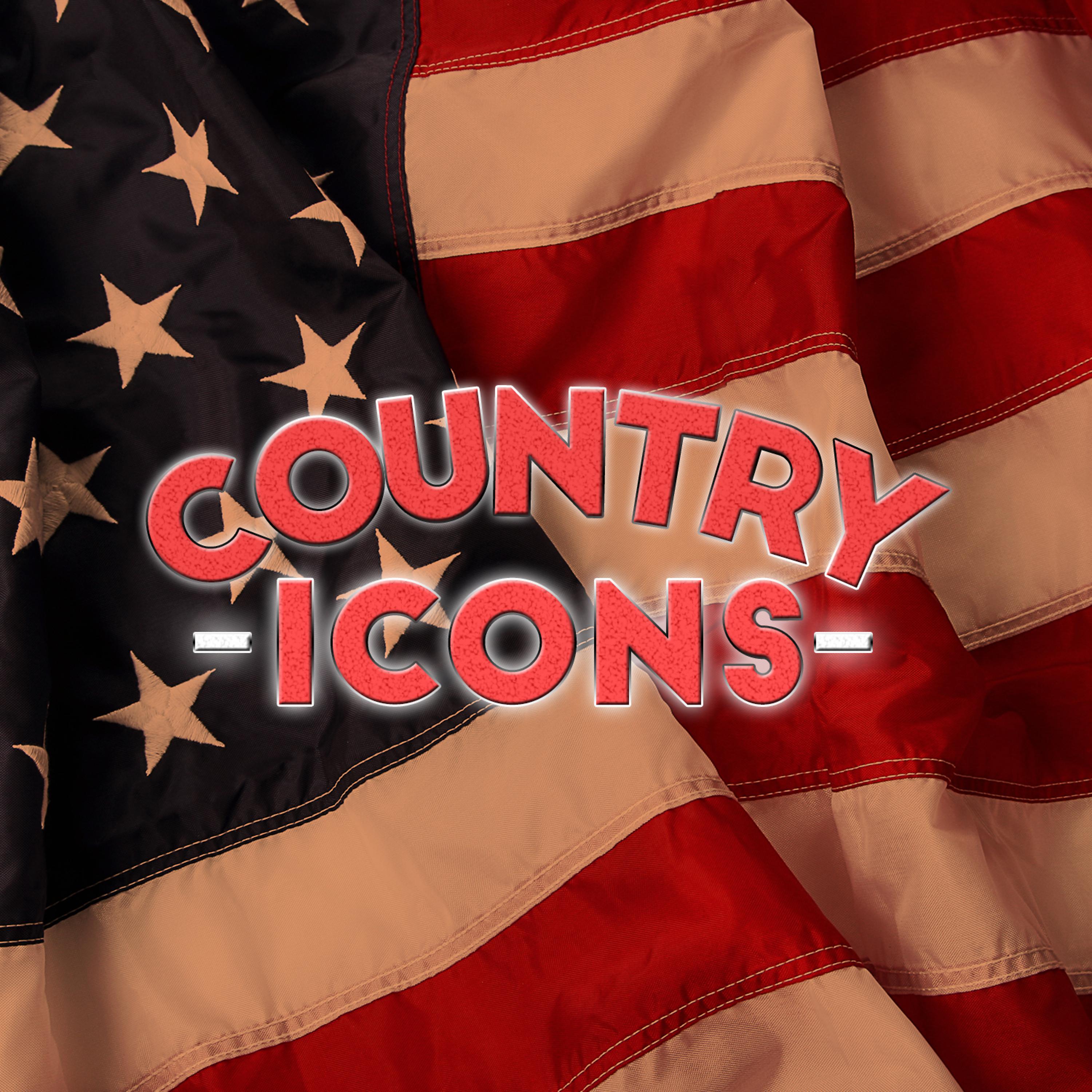 Постер альбома Country Icons