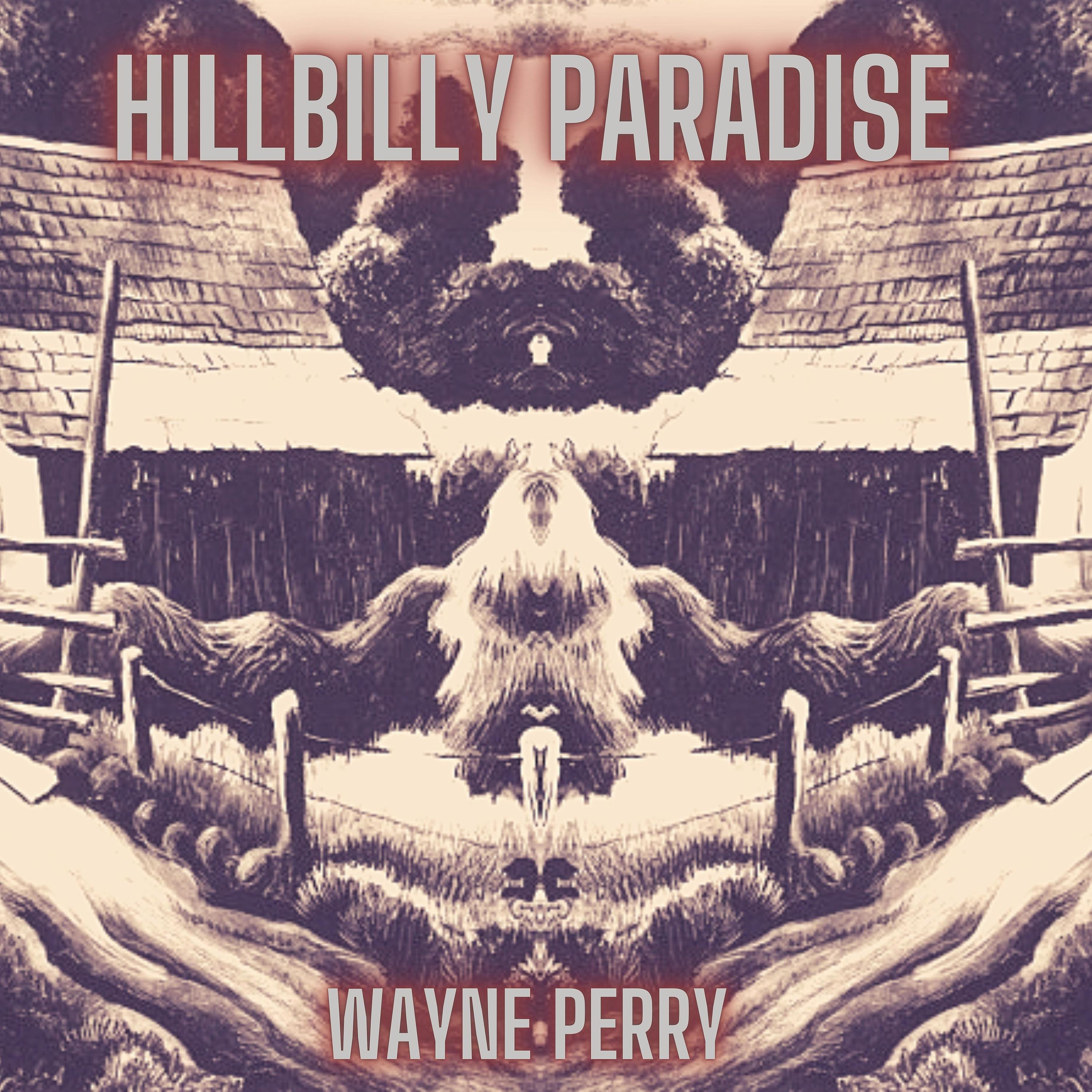 Постер альбома Hillbilly Paradise