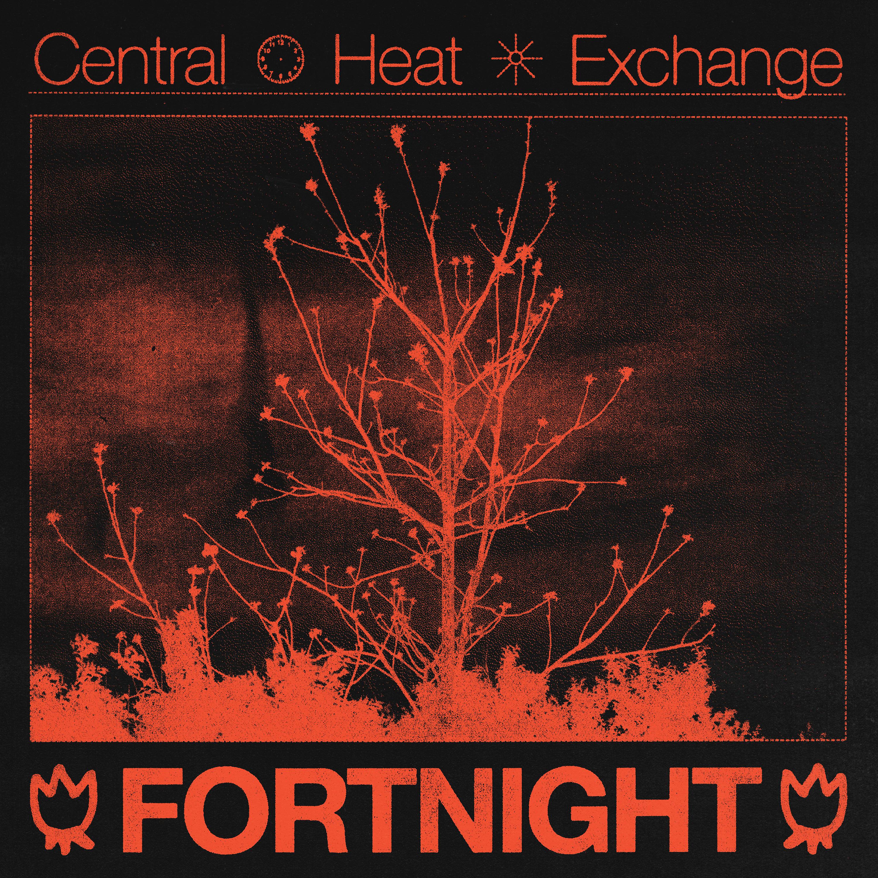 Постер альбома Fortnight (Remix)