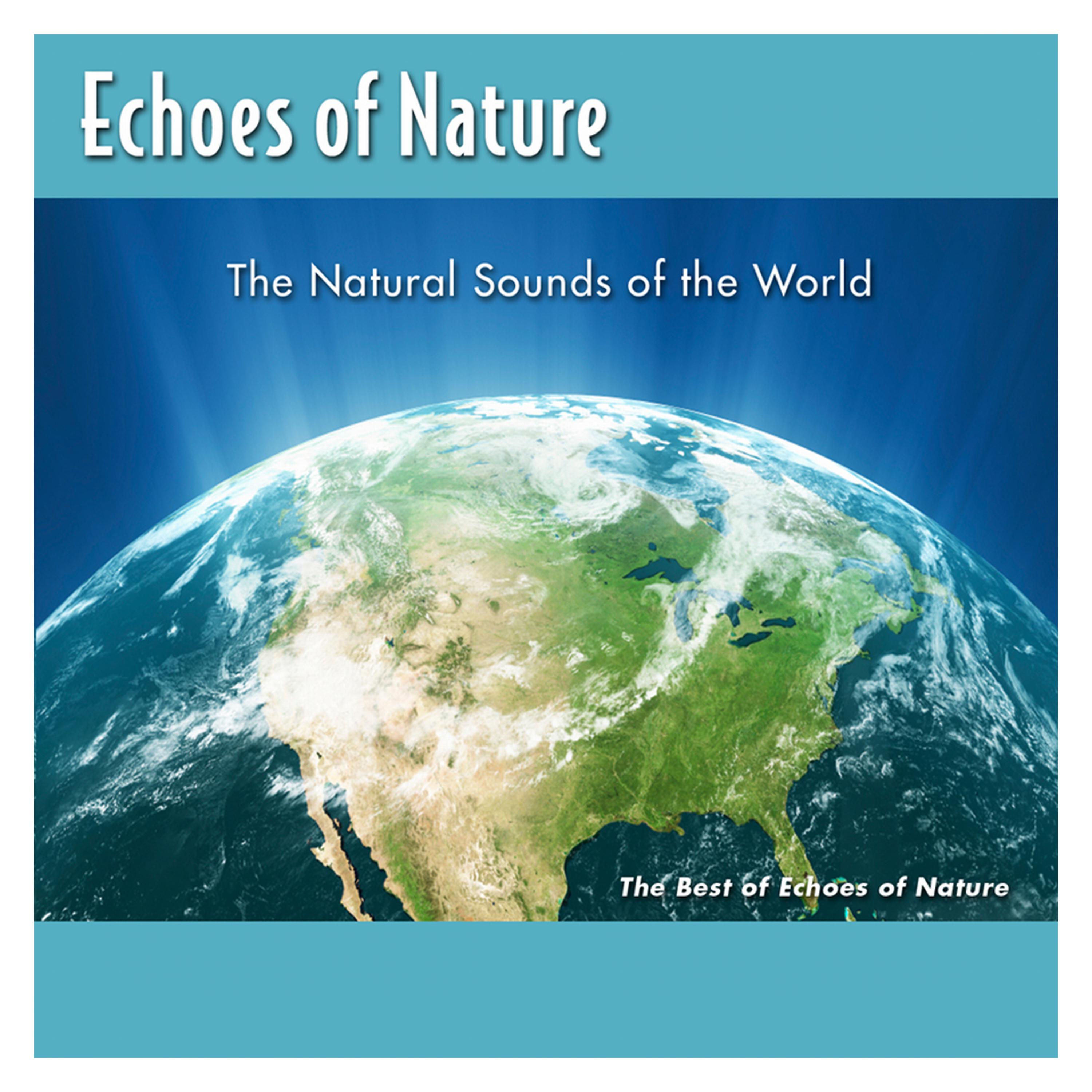 Постер альбома The Best Of Echoes Of Nature