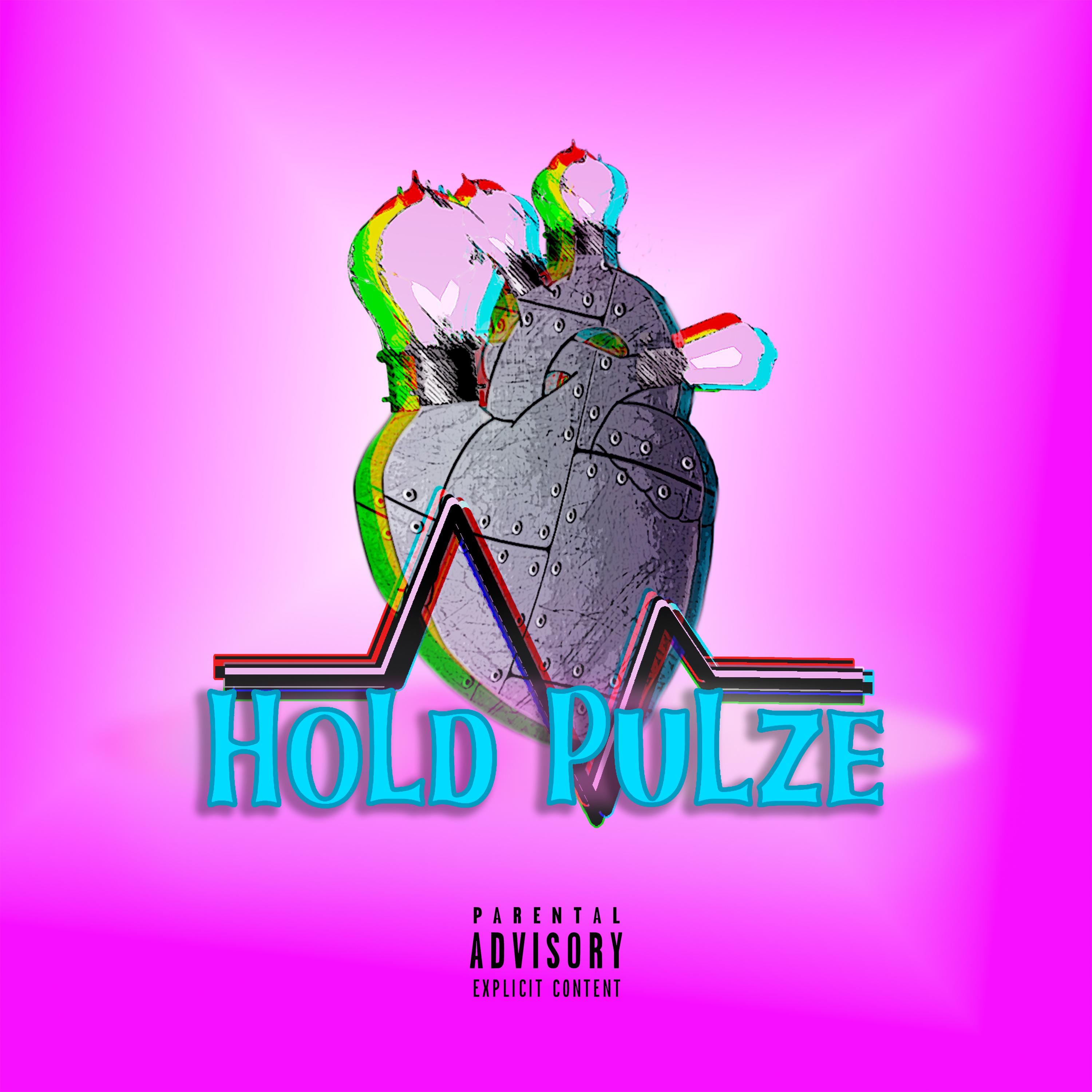 Постер альбома Hold Pulze