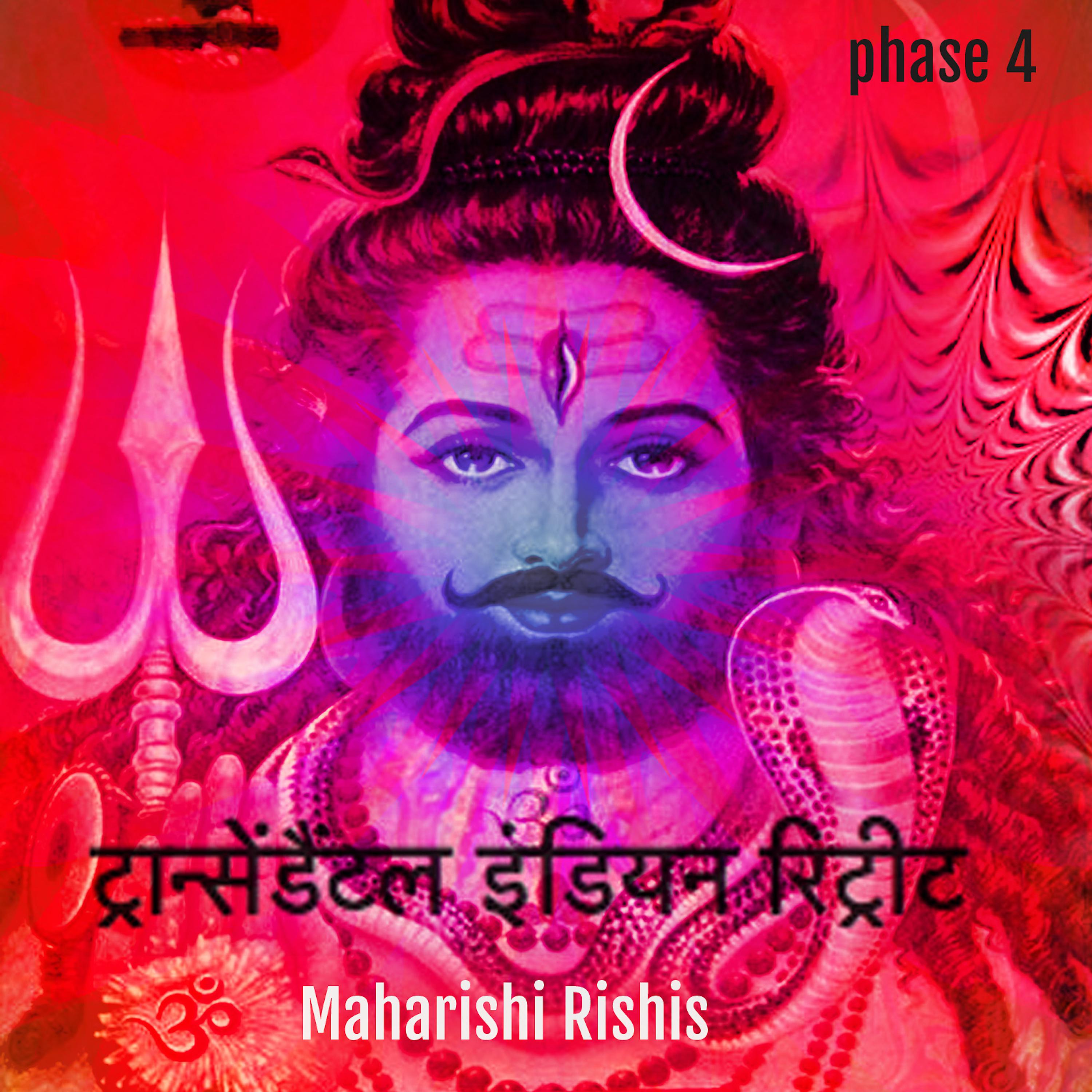 Постер альбома Transcendental Indian Chill Phase 4