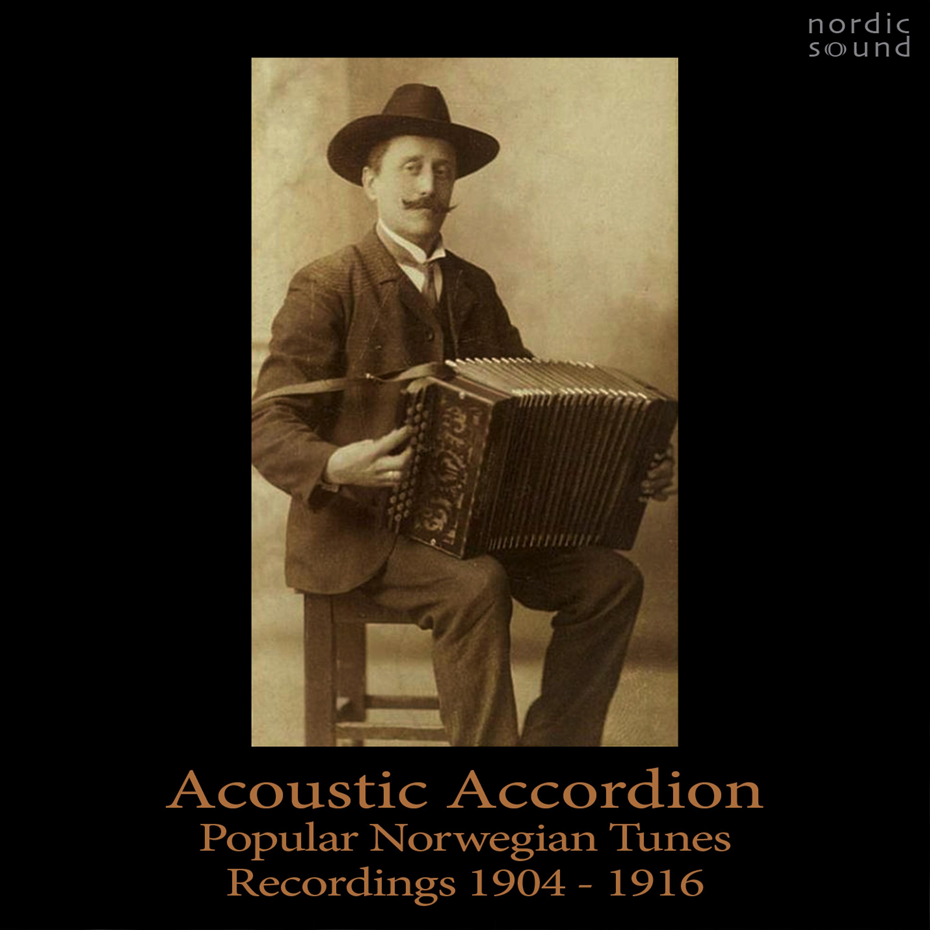 Постер альбома Acoustic Accordion: Popular Norwegian Tunes