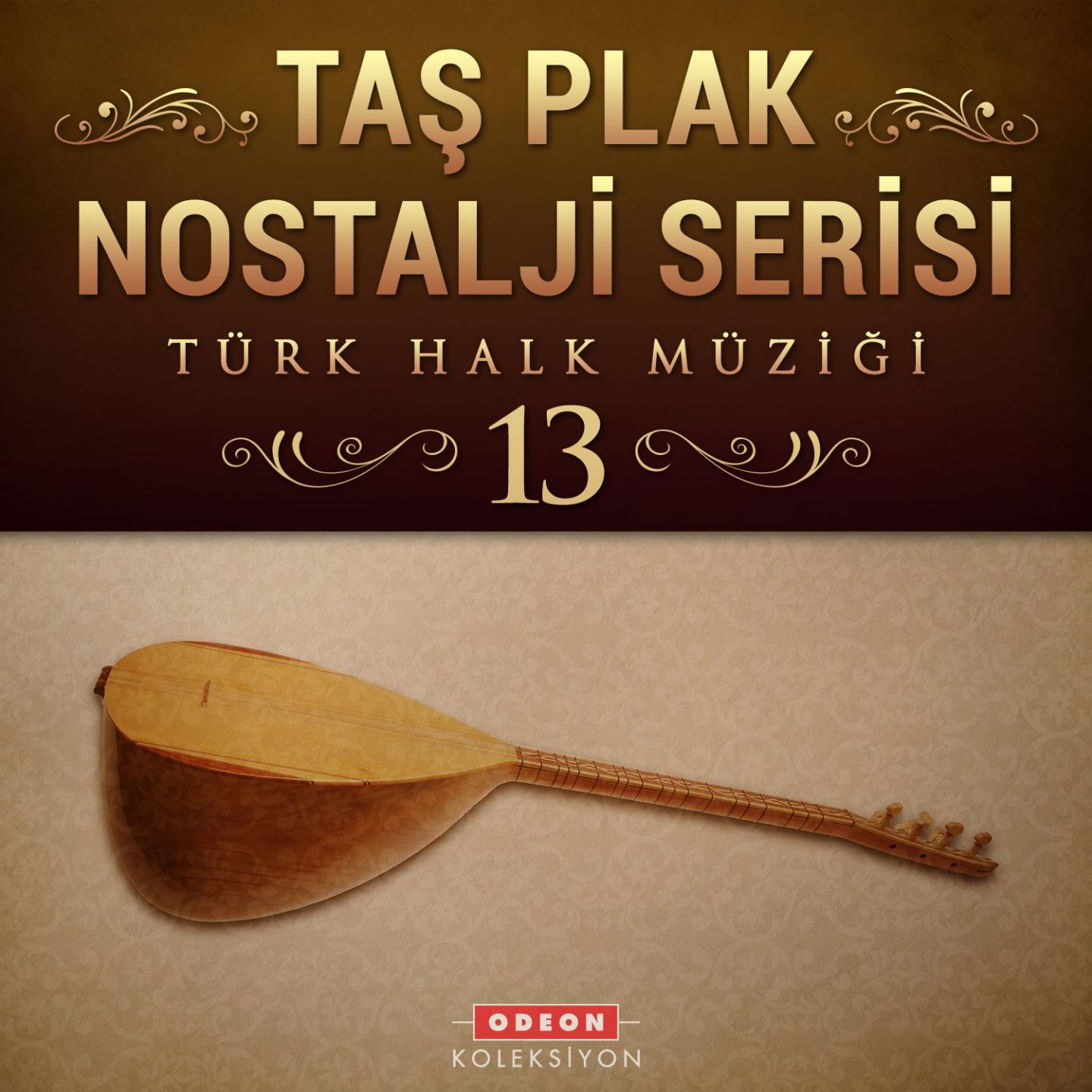 Постер альбома Taş Plak Nostalji Serisi, Vol. 13