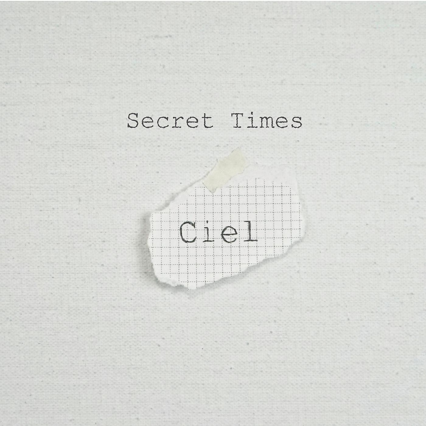 Постер альбома Secret Times