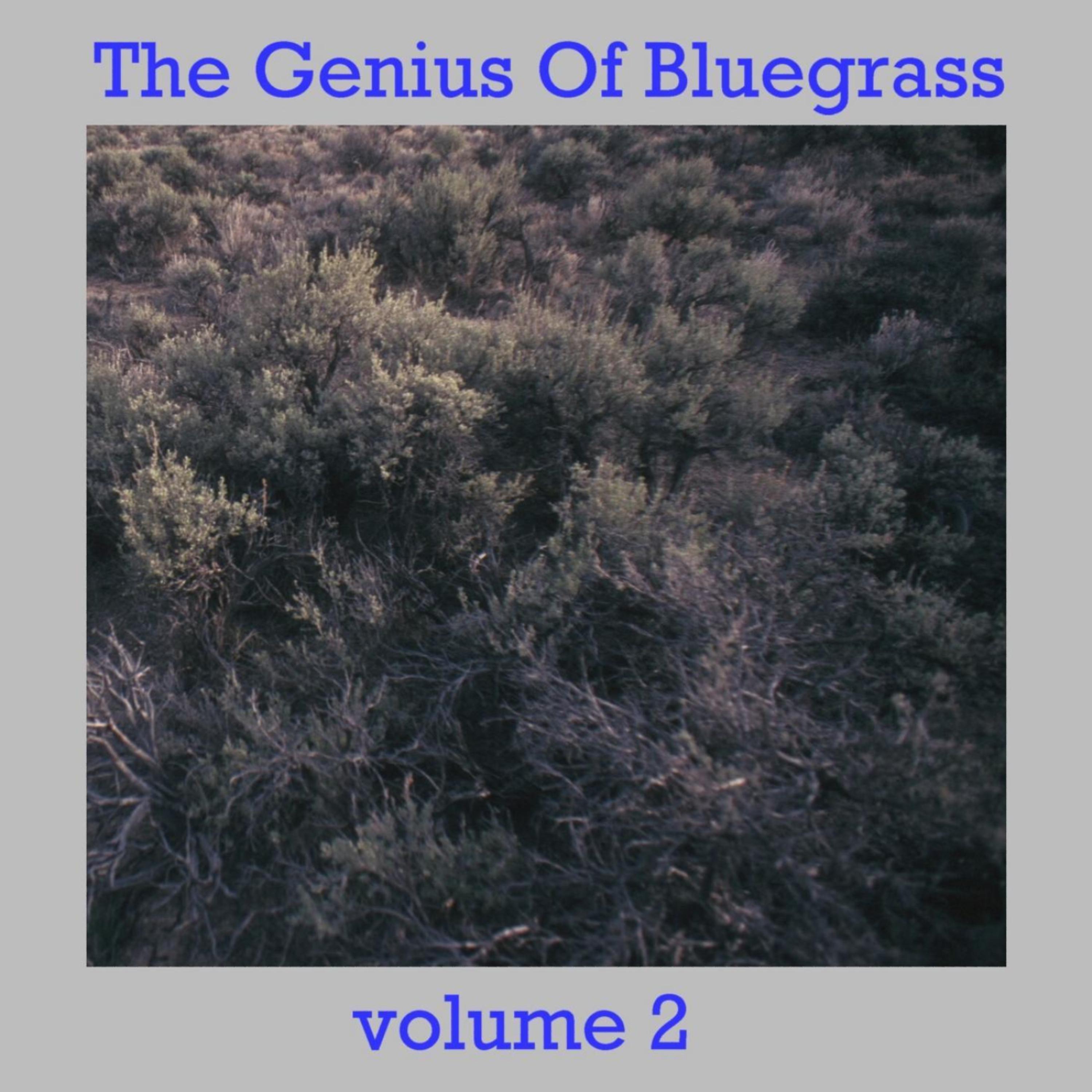 Постер альбома The Genius Of Bluegrass - Vol 2