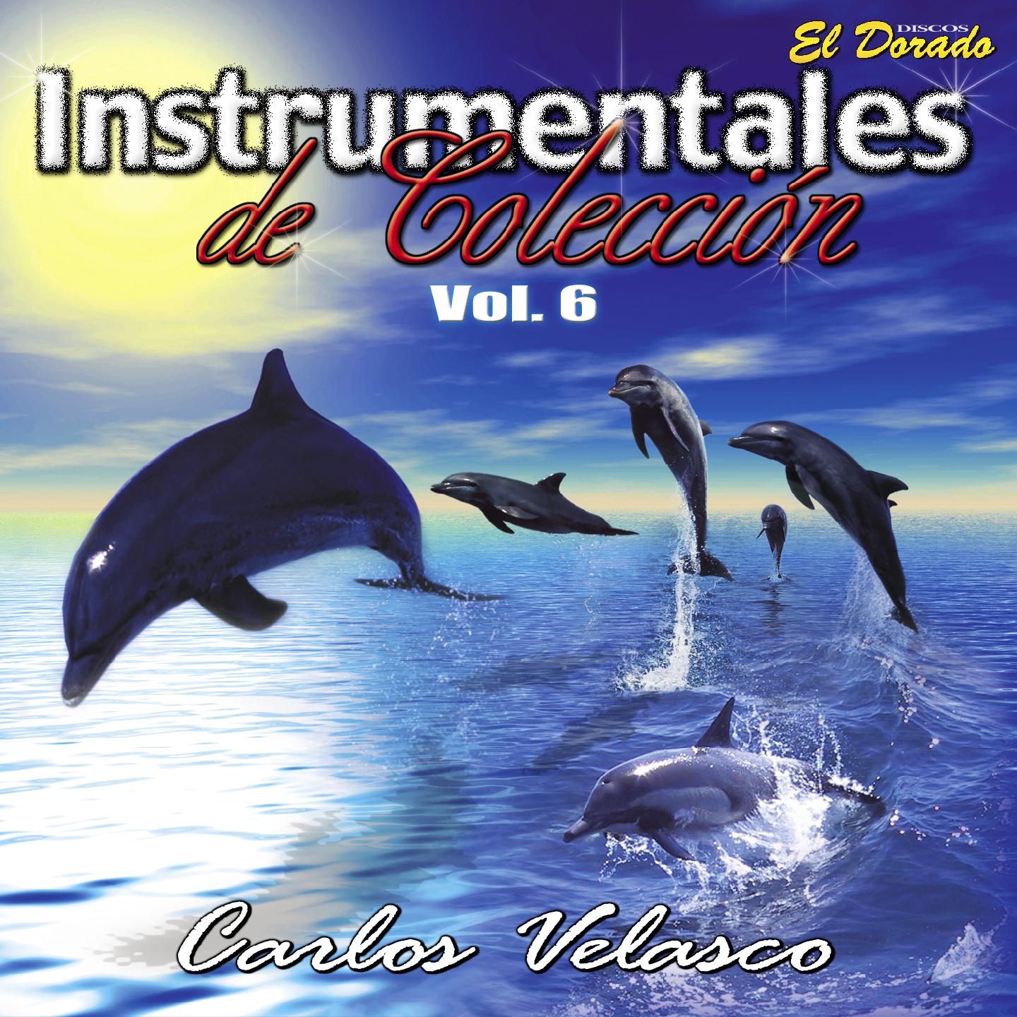 Постер альбома Instrumentales de Colección, Vol. 6