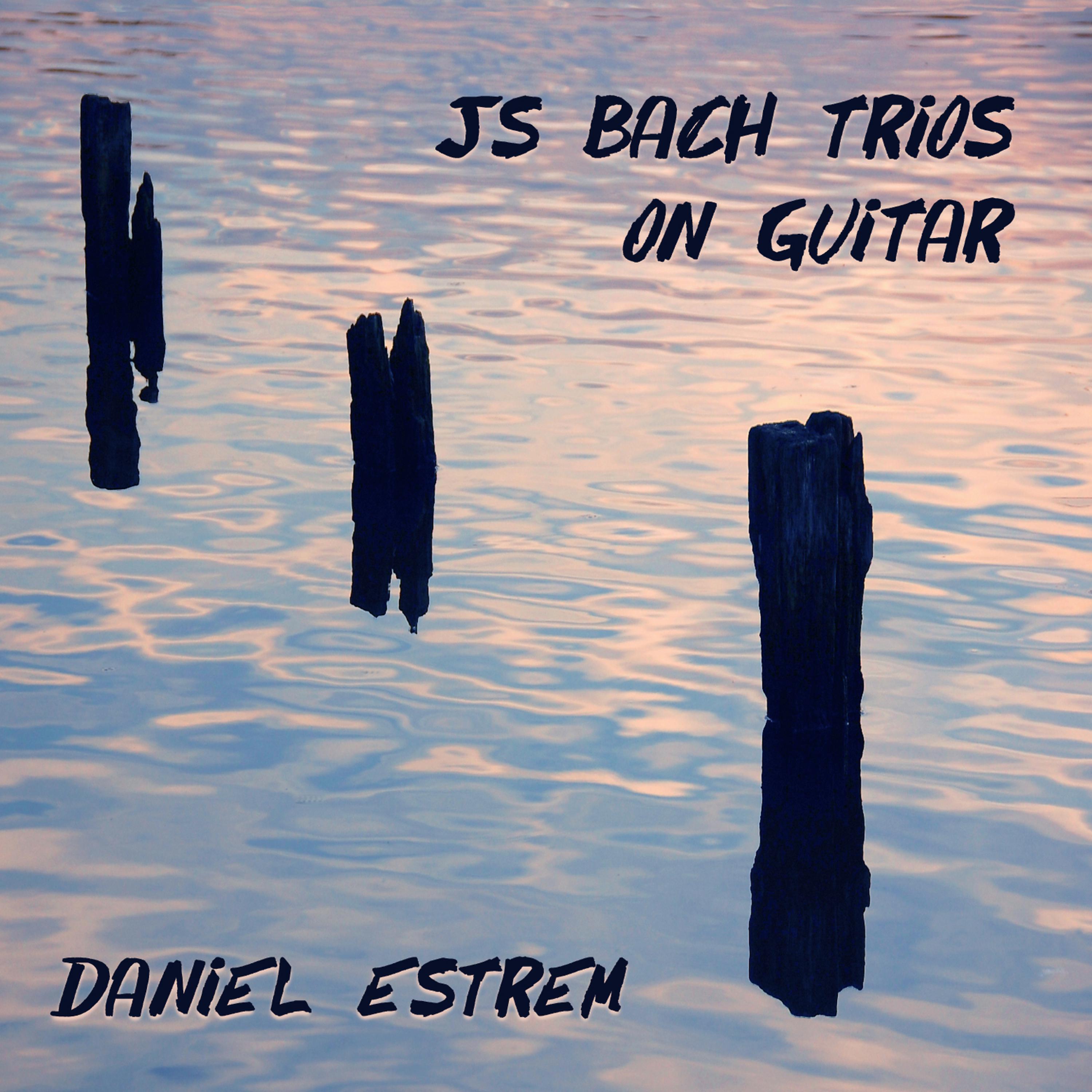 Постер альбома JS Bach Trios on Guitar