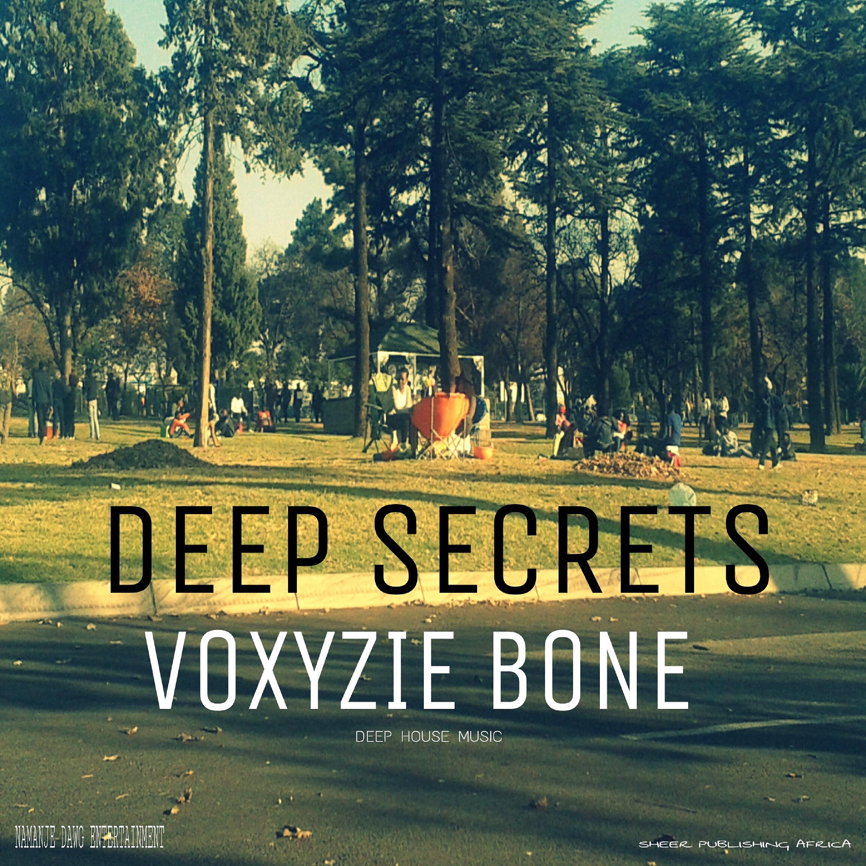 Постер альбома Deep Secrets