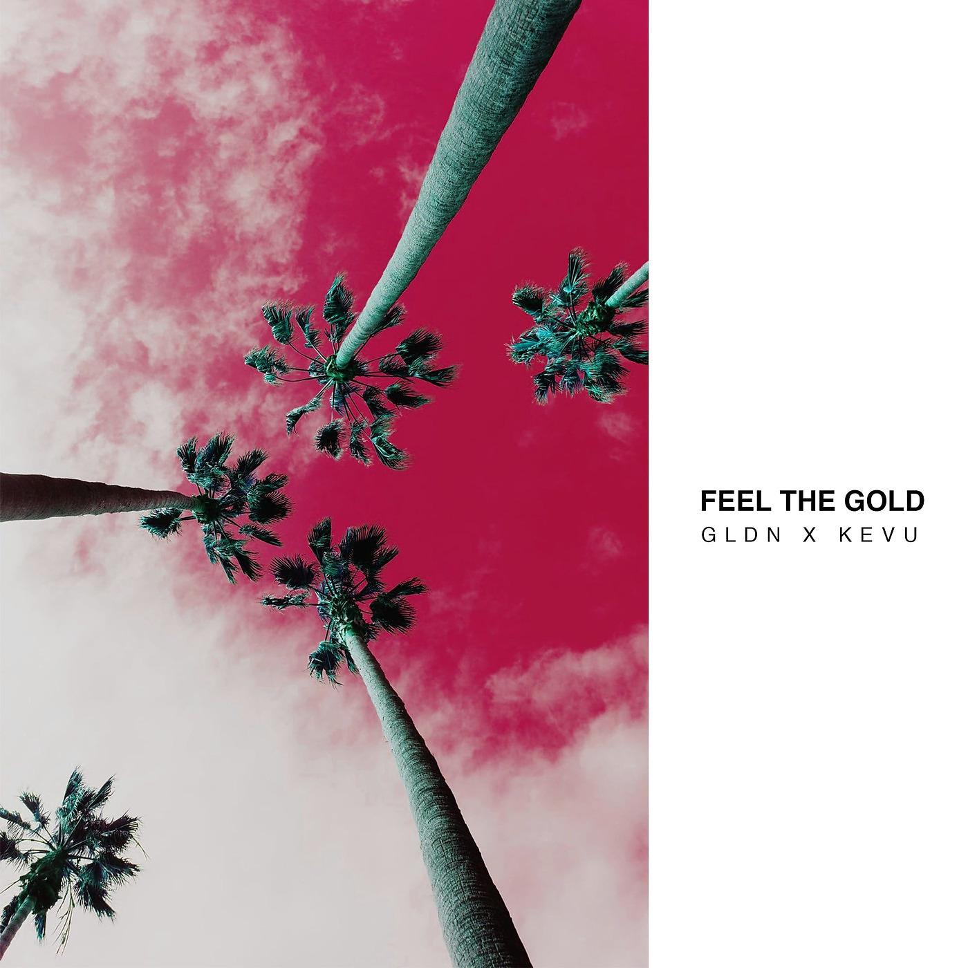 Постер альбома Feel the Gold