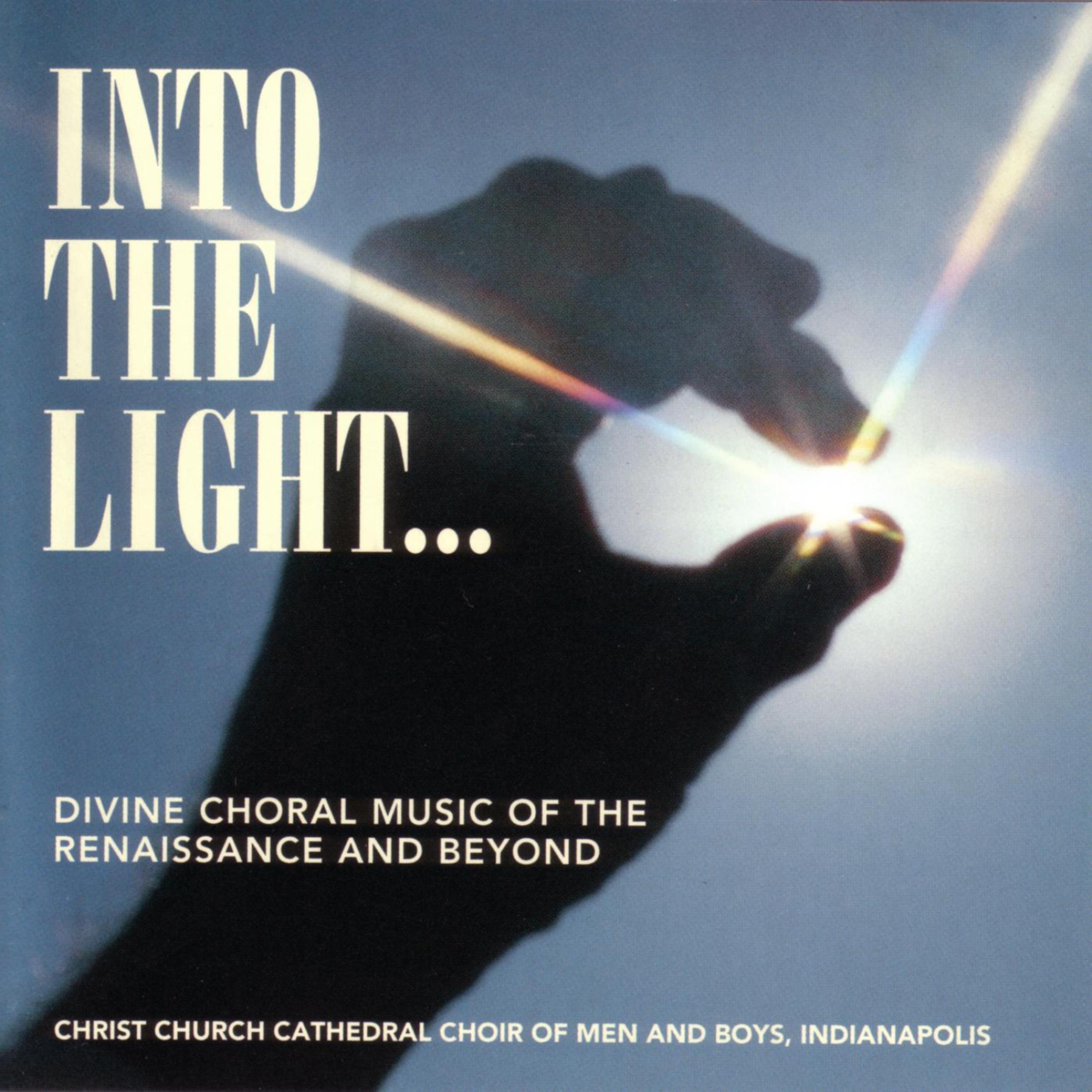 Постер альбома Into The Light...
