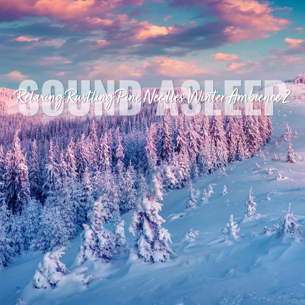 Постер альбома Sound Asleep: Relaxing Rustling Pine Needles Winter Ambience 2