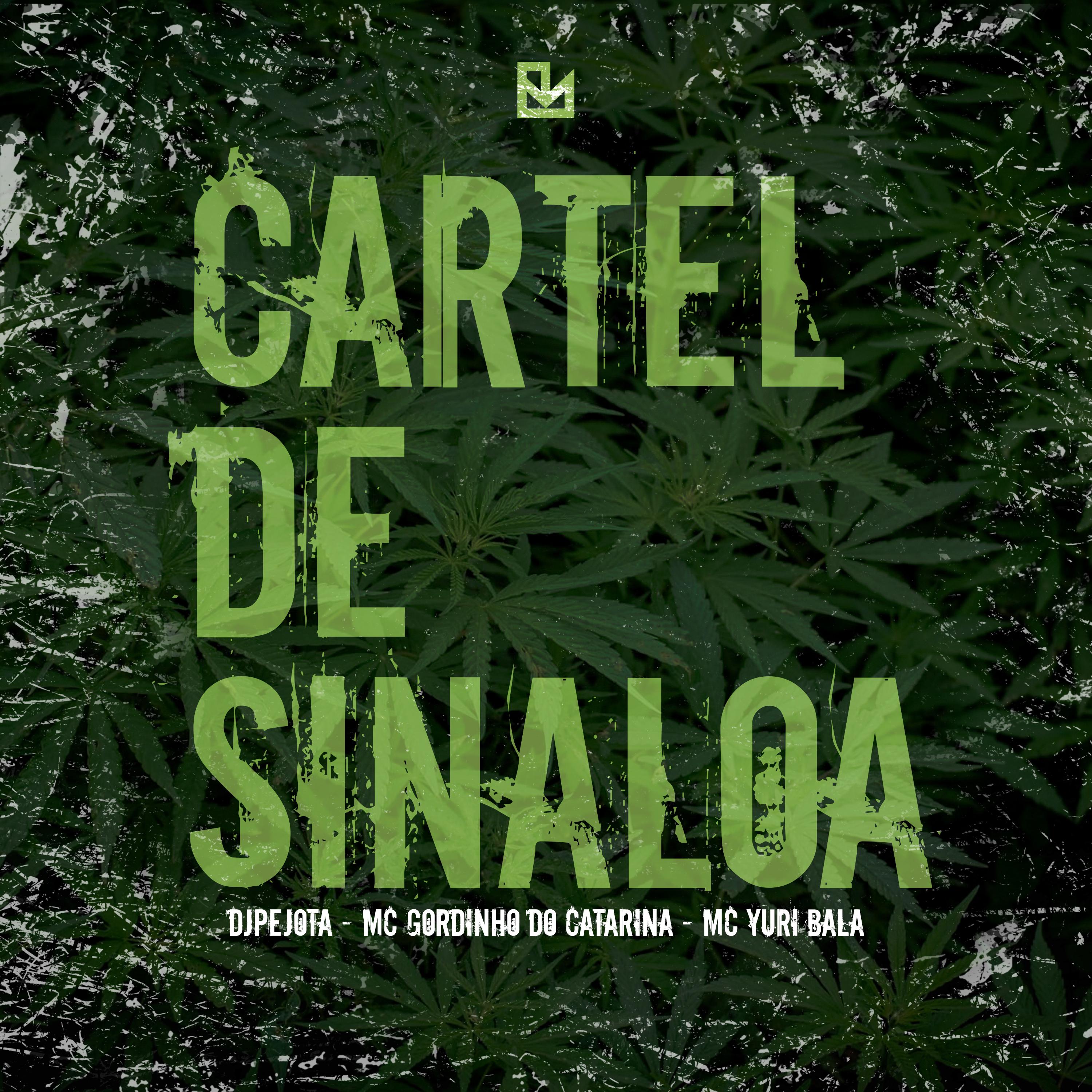 Постер альбома Cartel de Sinaloa