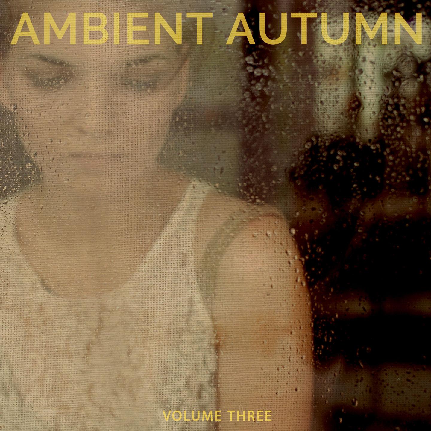 Постер альбома Ambient Autumn, Vol. 3