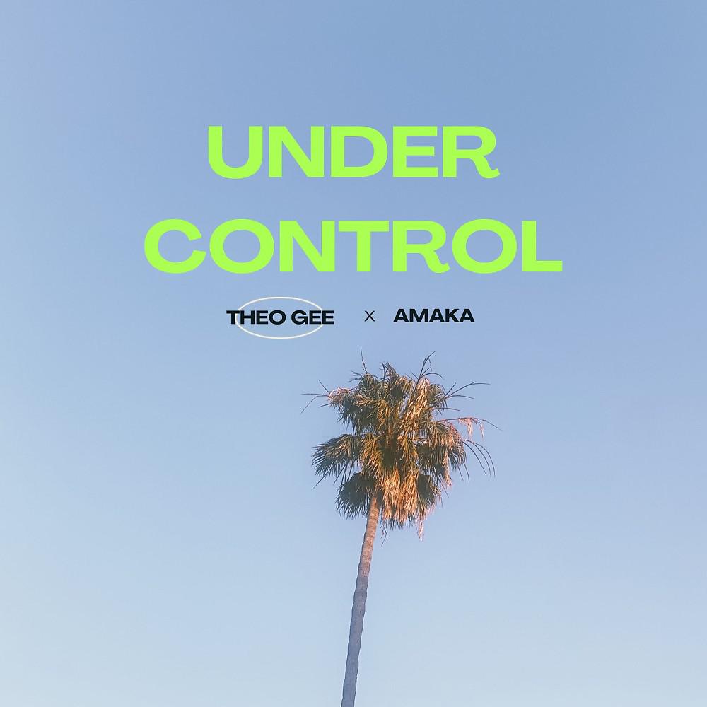 Постер альбома Under Control