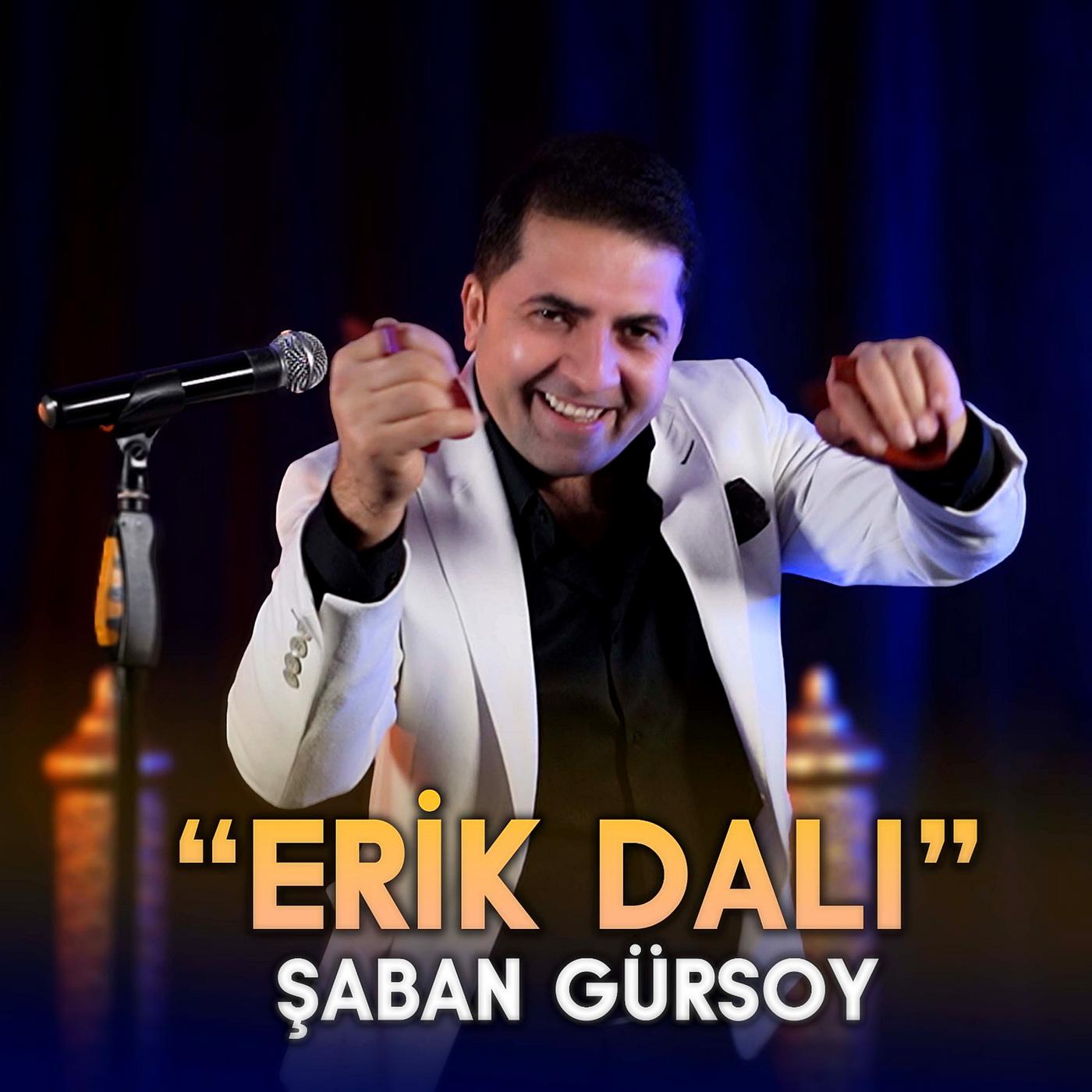 Постер альбома Erik Dalı