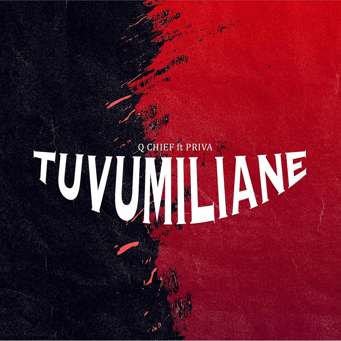 Постер альбома Tuvumiliane
