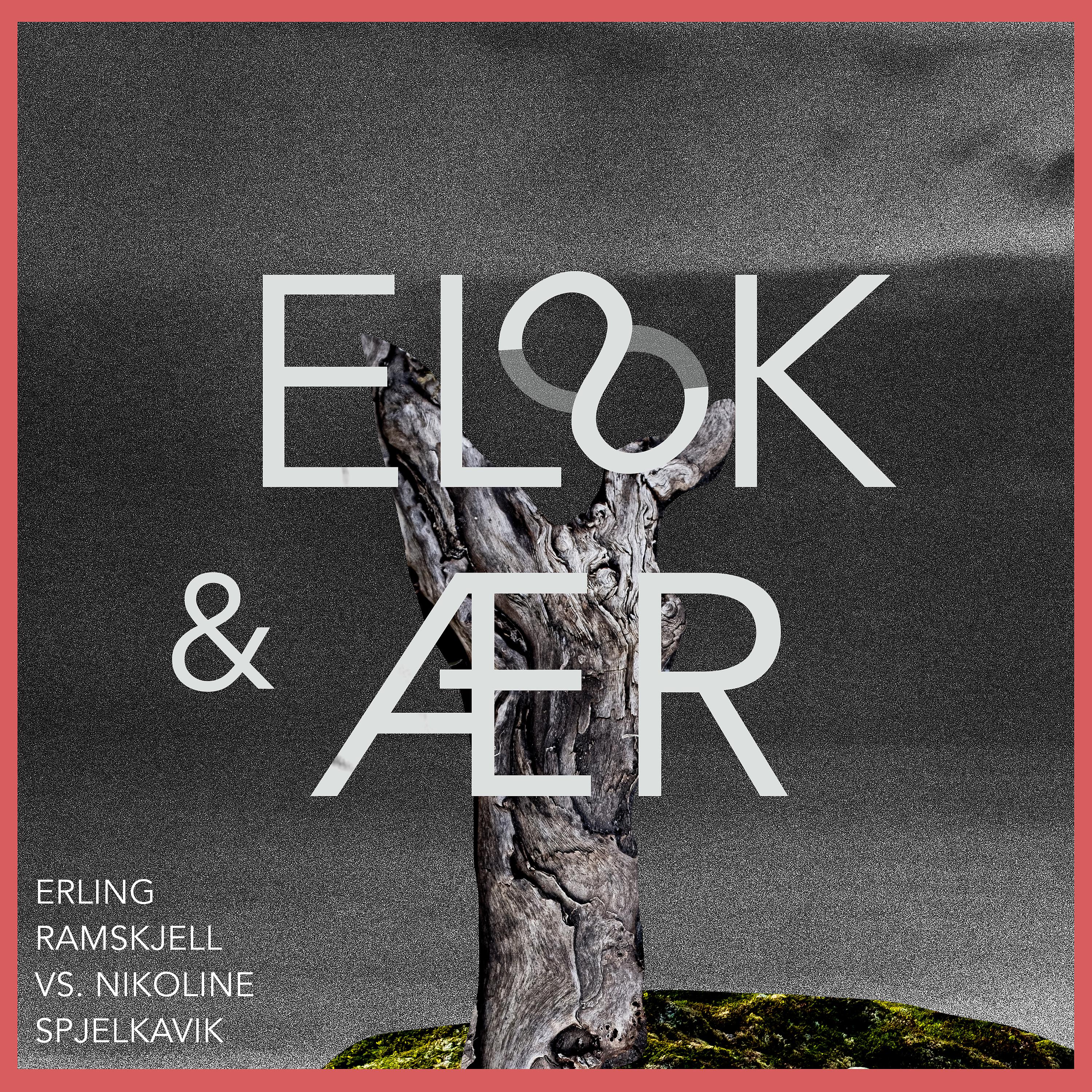 Постер альбома Elsk & Ær