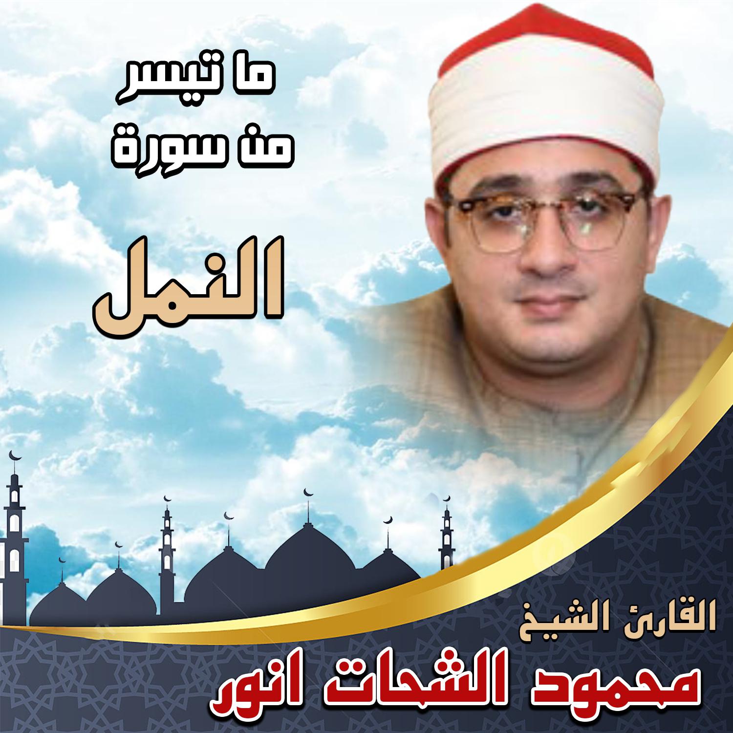 Постер альбома ما تيسر من سورة النمل