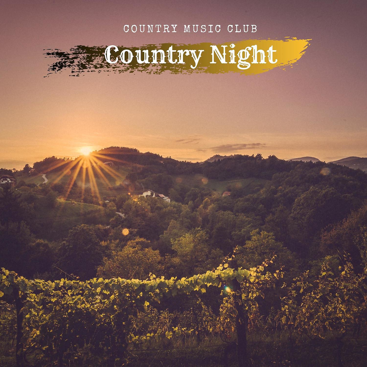 Постер альбома Country Night