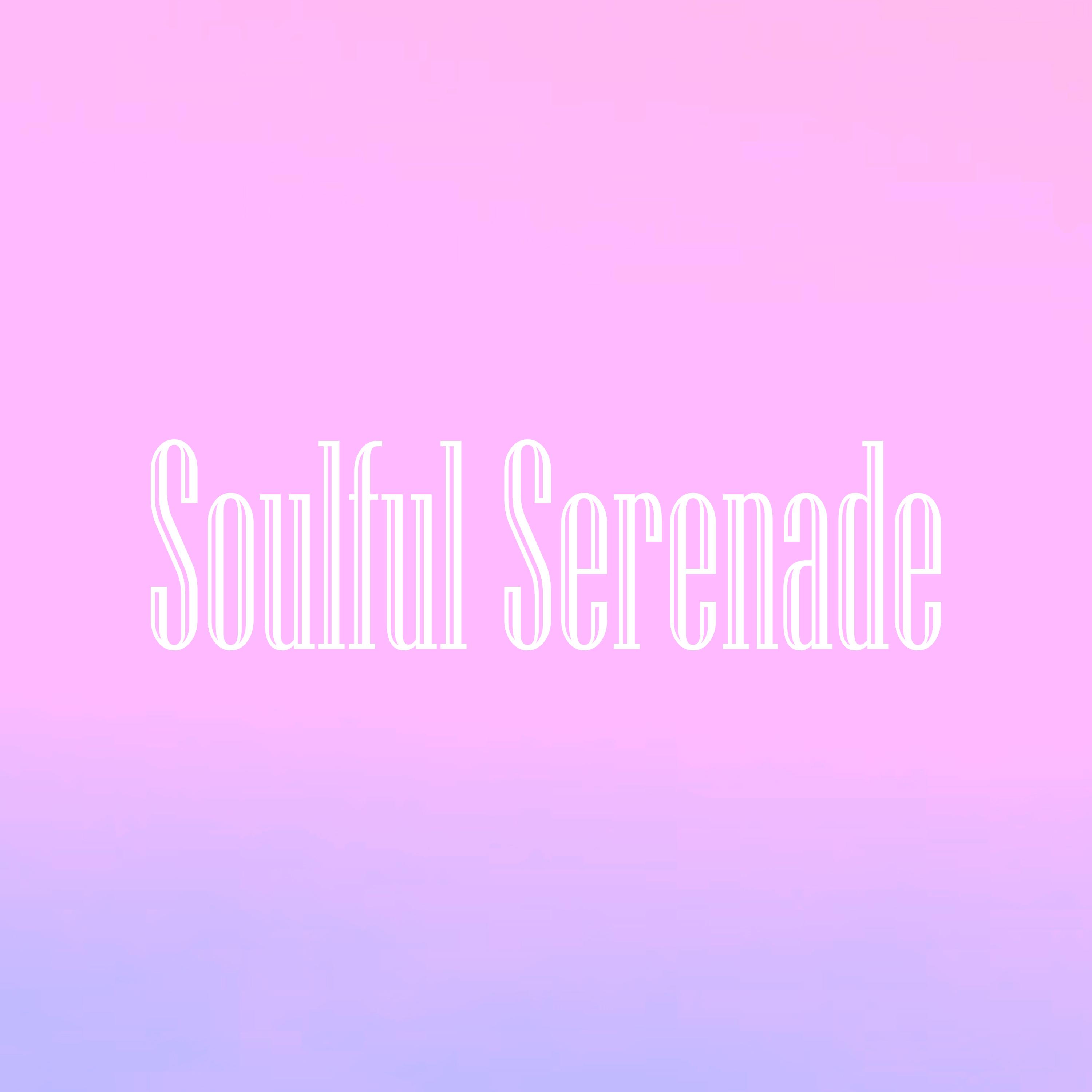 Постер альбома Soulful Serenade