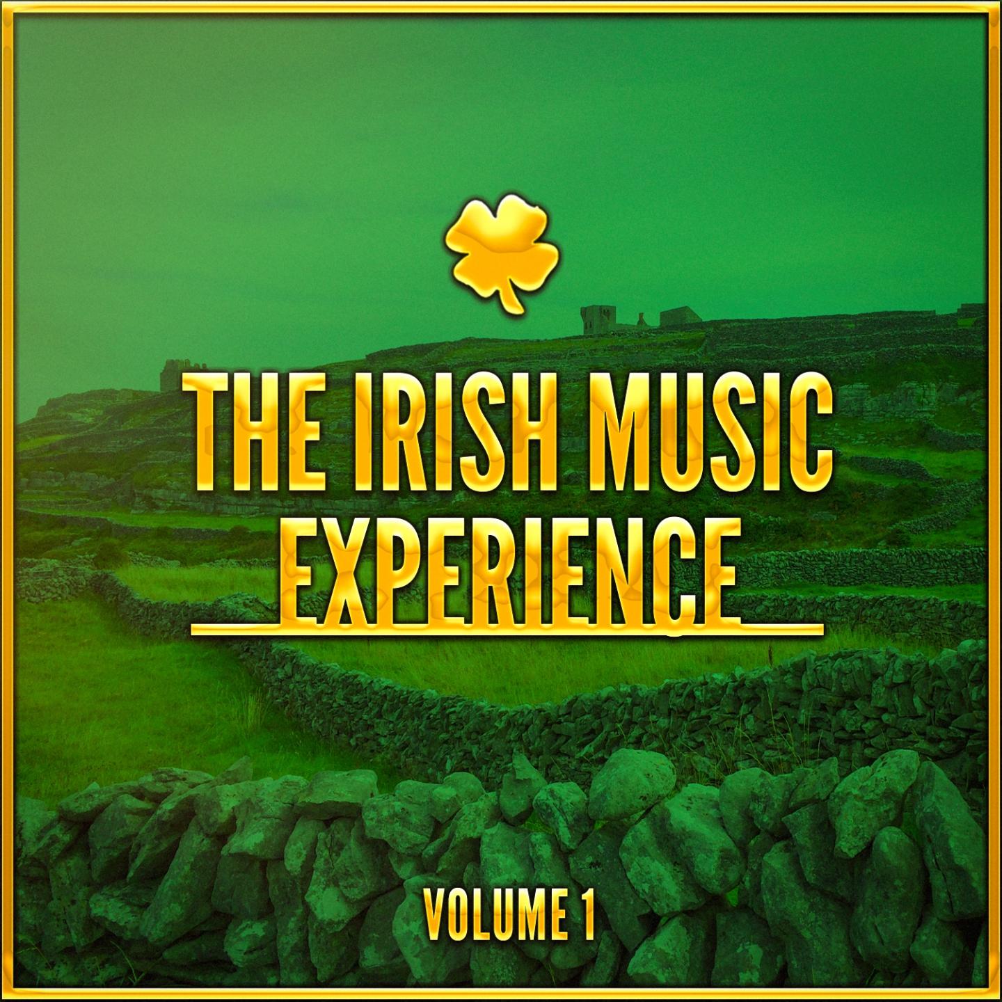 Постер альбома The Irish Music Experience, Vol. 1 (A Selection of Traditional Music from Ireland)