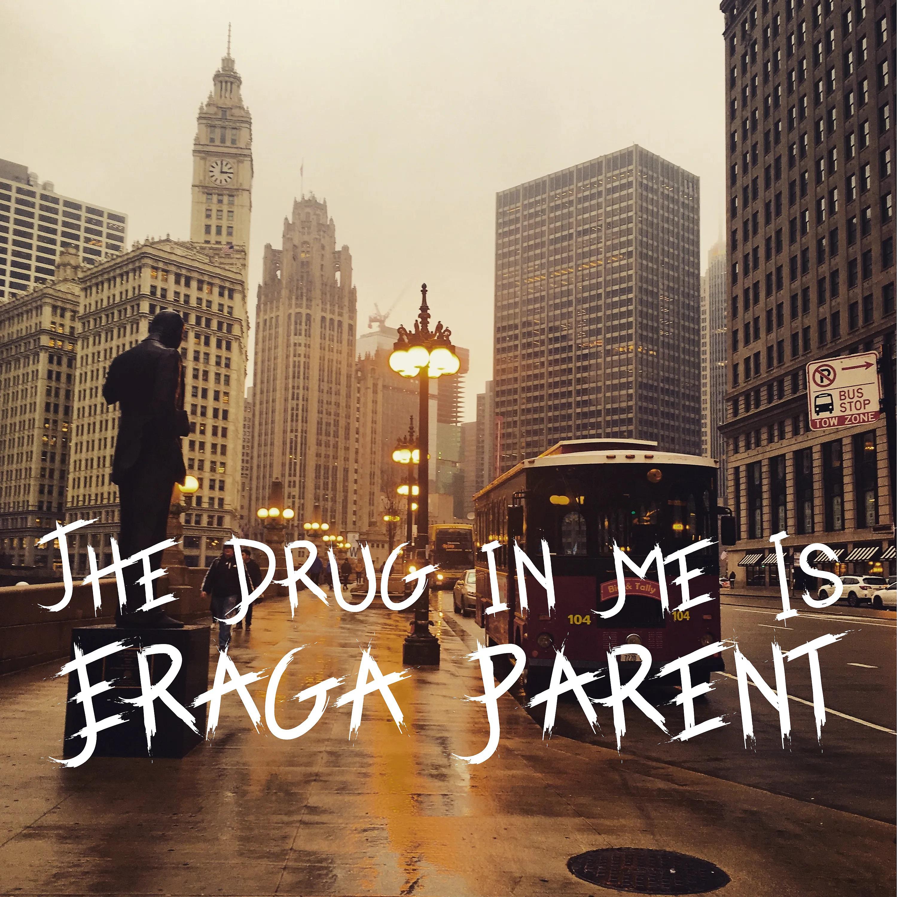 Постер альбома The Drug in Me Is
