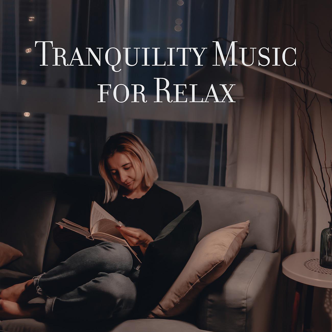 Постер альбома Tranquilty Music for Relax