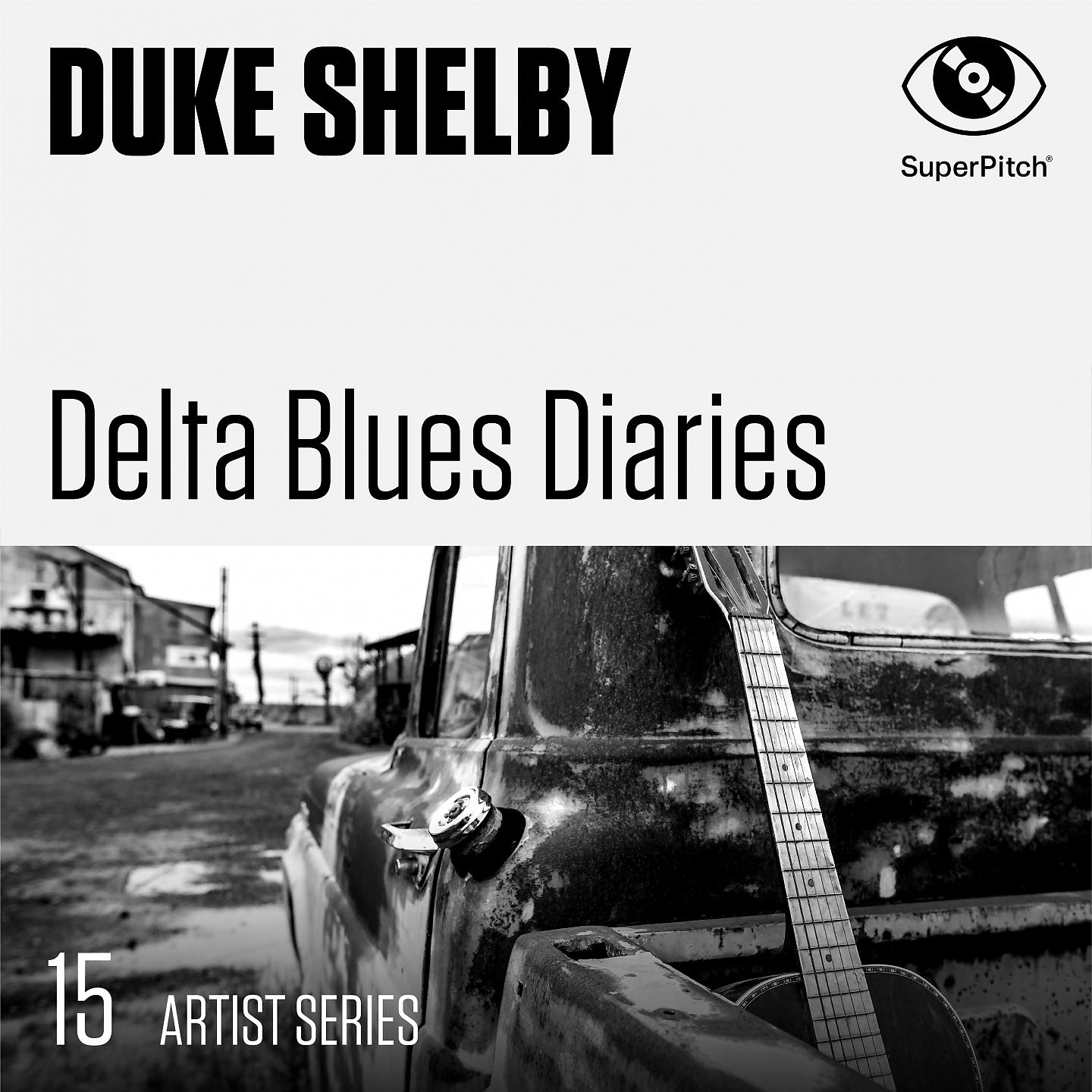 Постер альбома Delta Blues Diaries