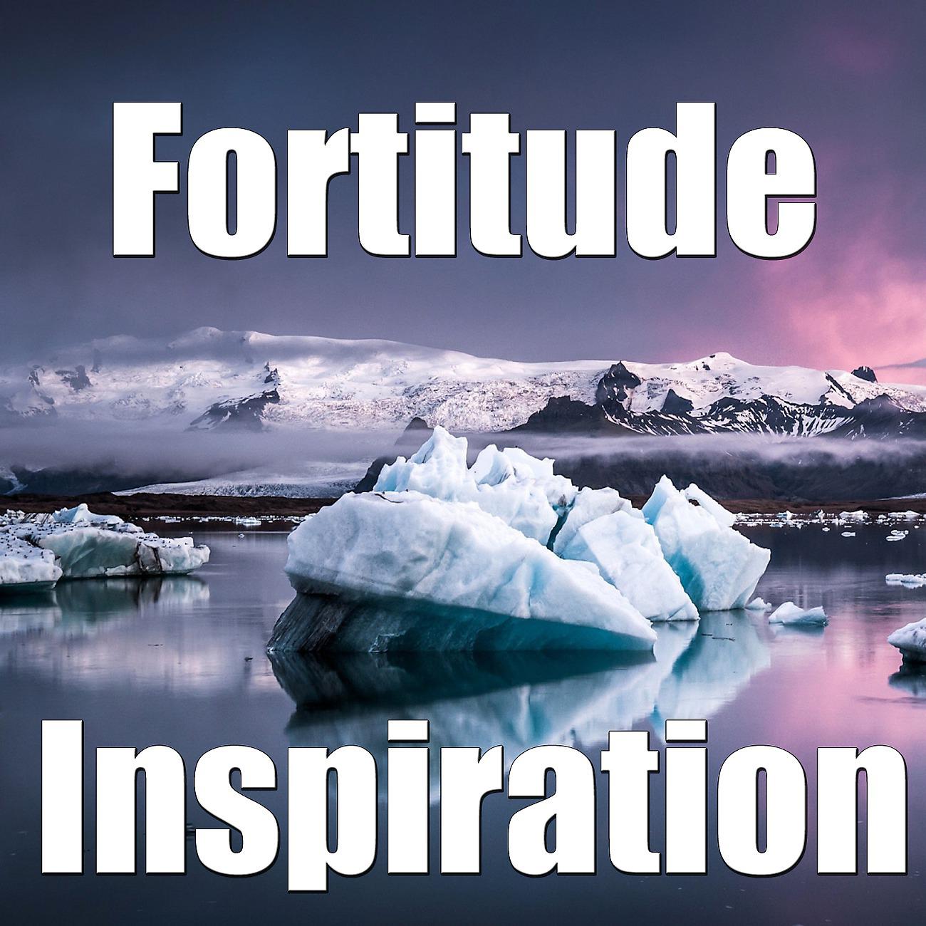 Постер альбома Fortitude Inspiration, Vol.2