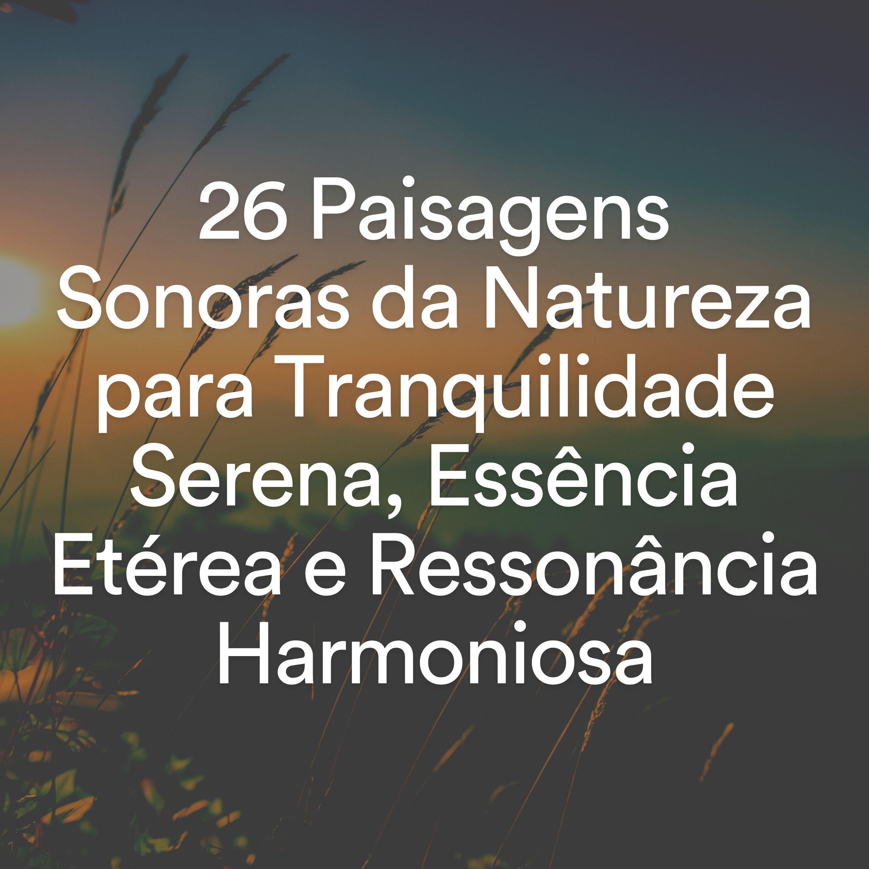 Постер альбома 26 Paisagens Sonoras da Natureza para Tranquilidade Serena, Essência Etérea e Ressonância Harmoniosa