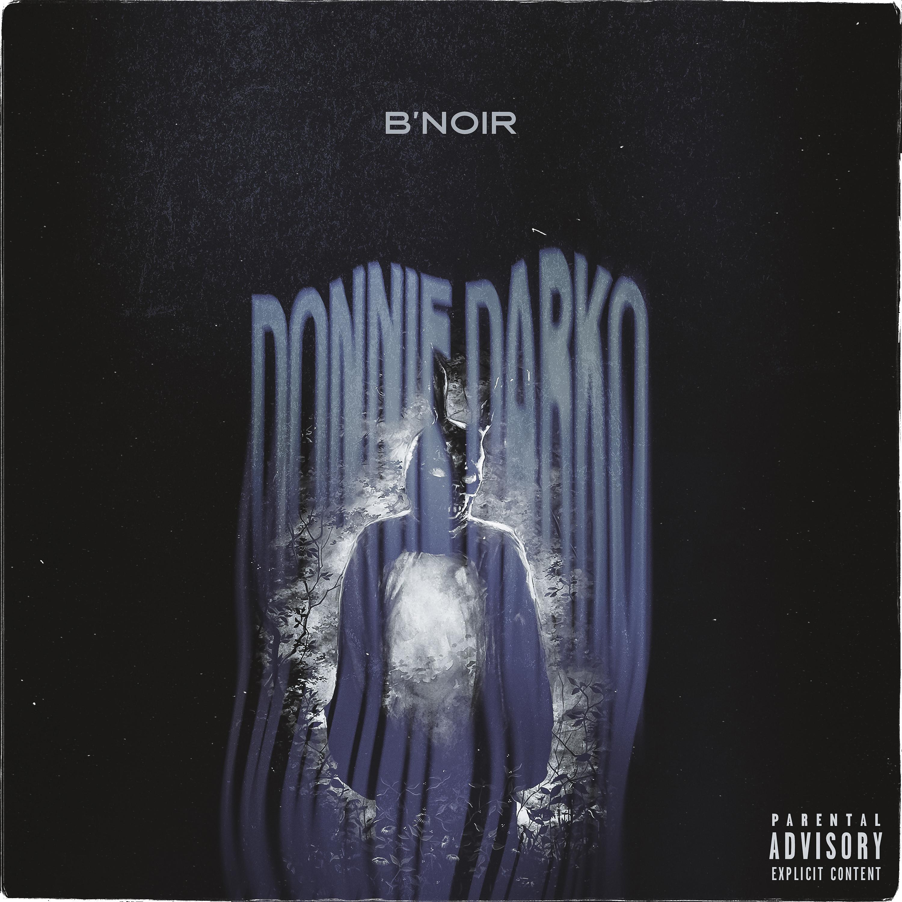 Постер альбома Donnie Darko
