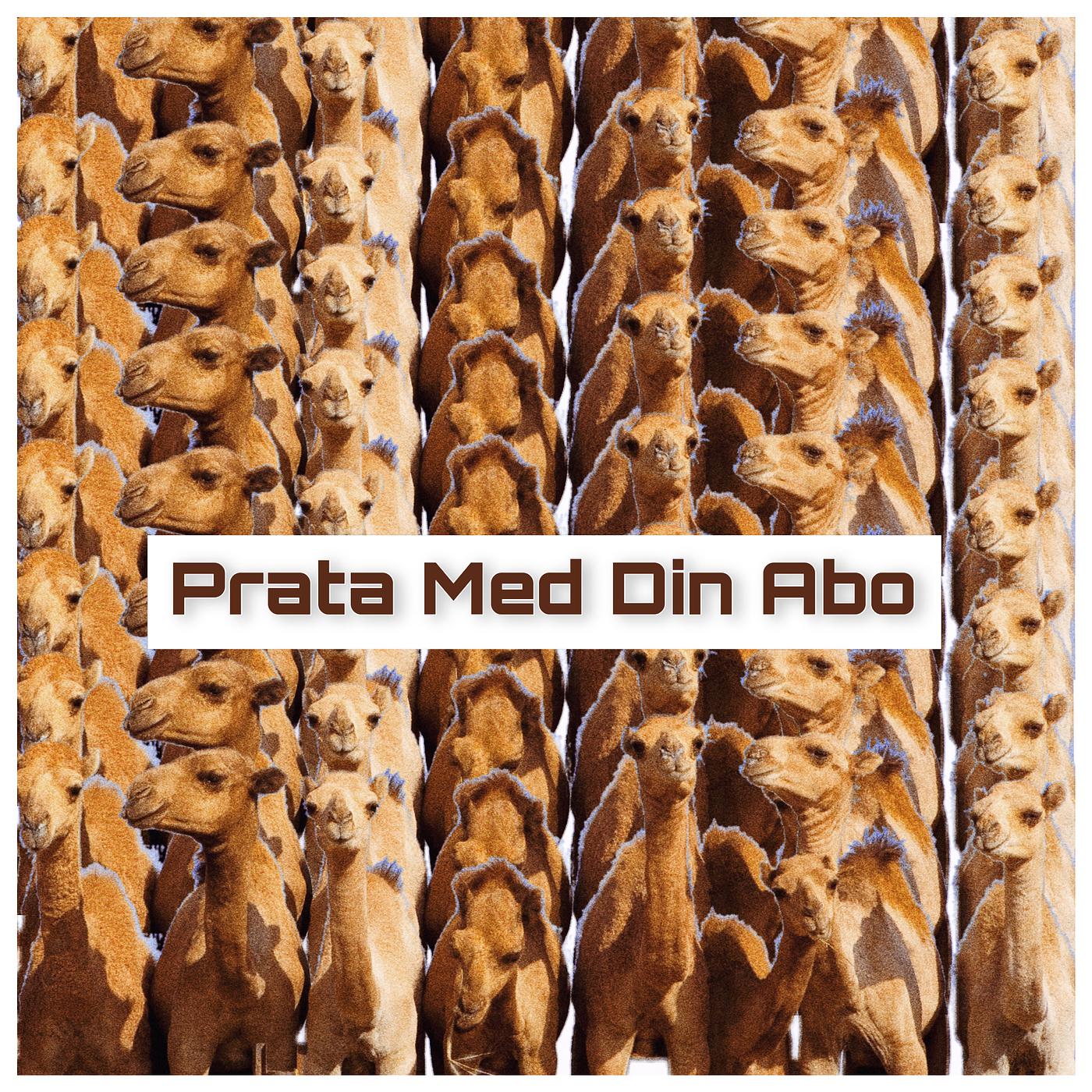 Постер альбома Prata Med Din Abo