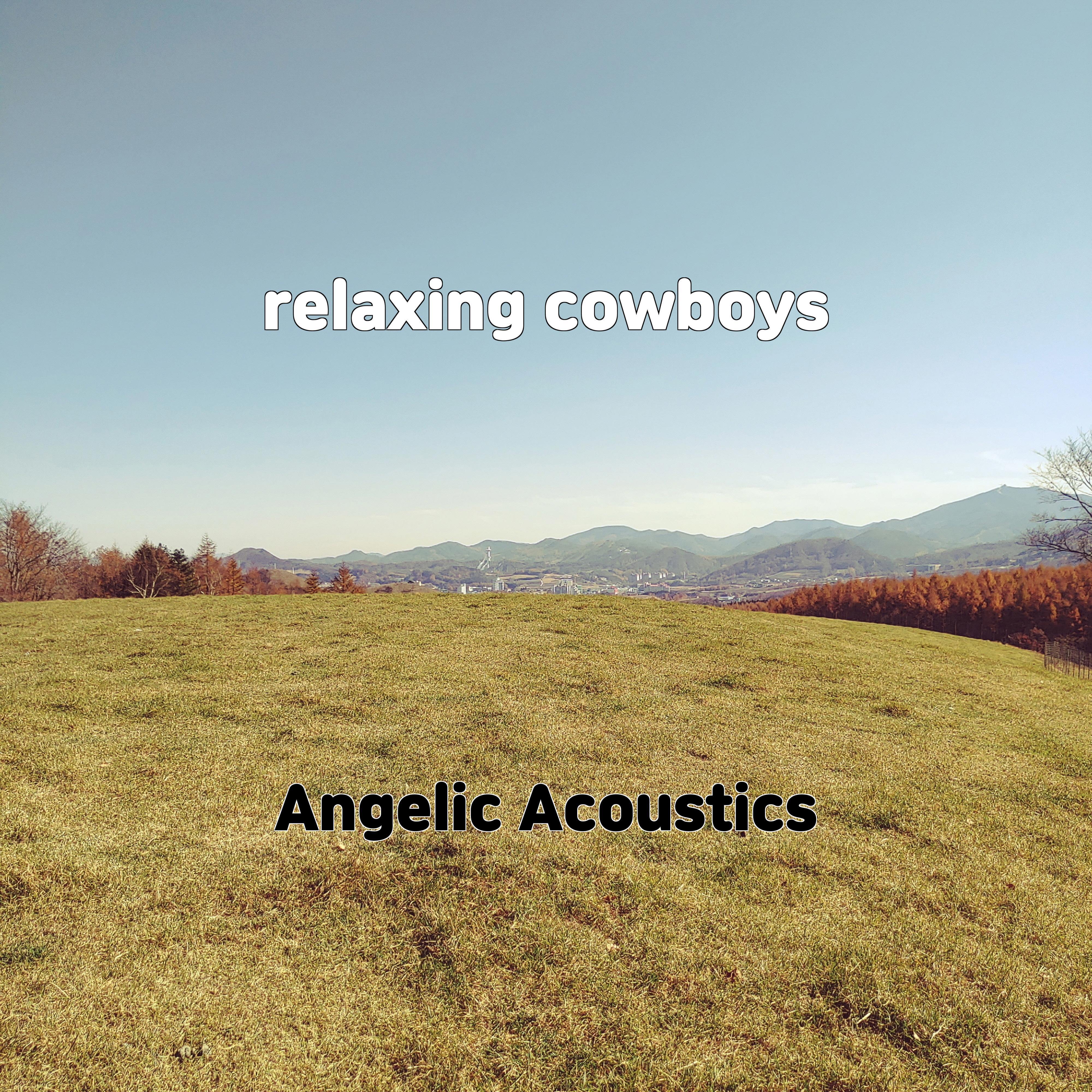 Постер альбома relaxing cowboys