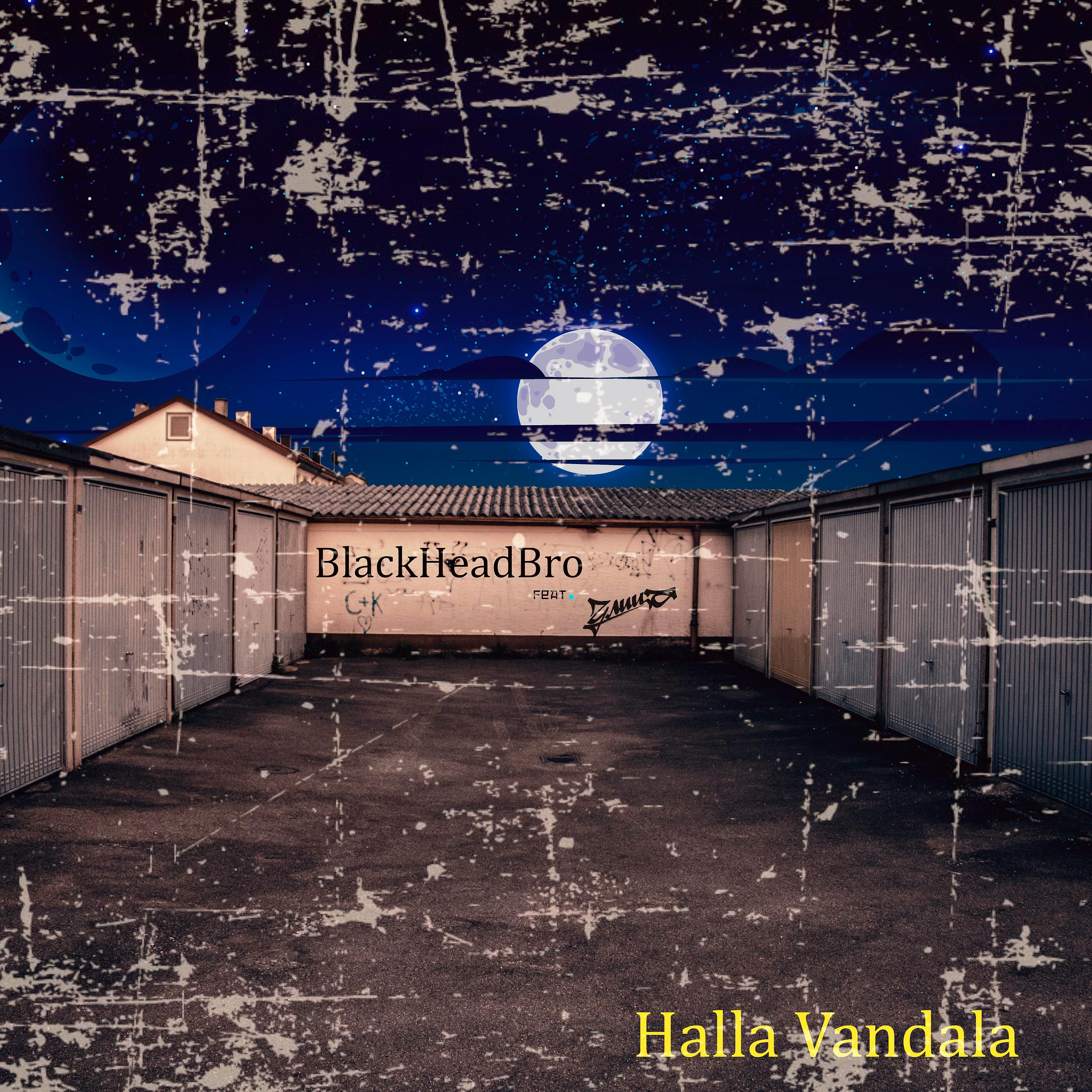 Постер альбома Halla Vandala