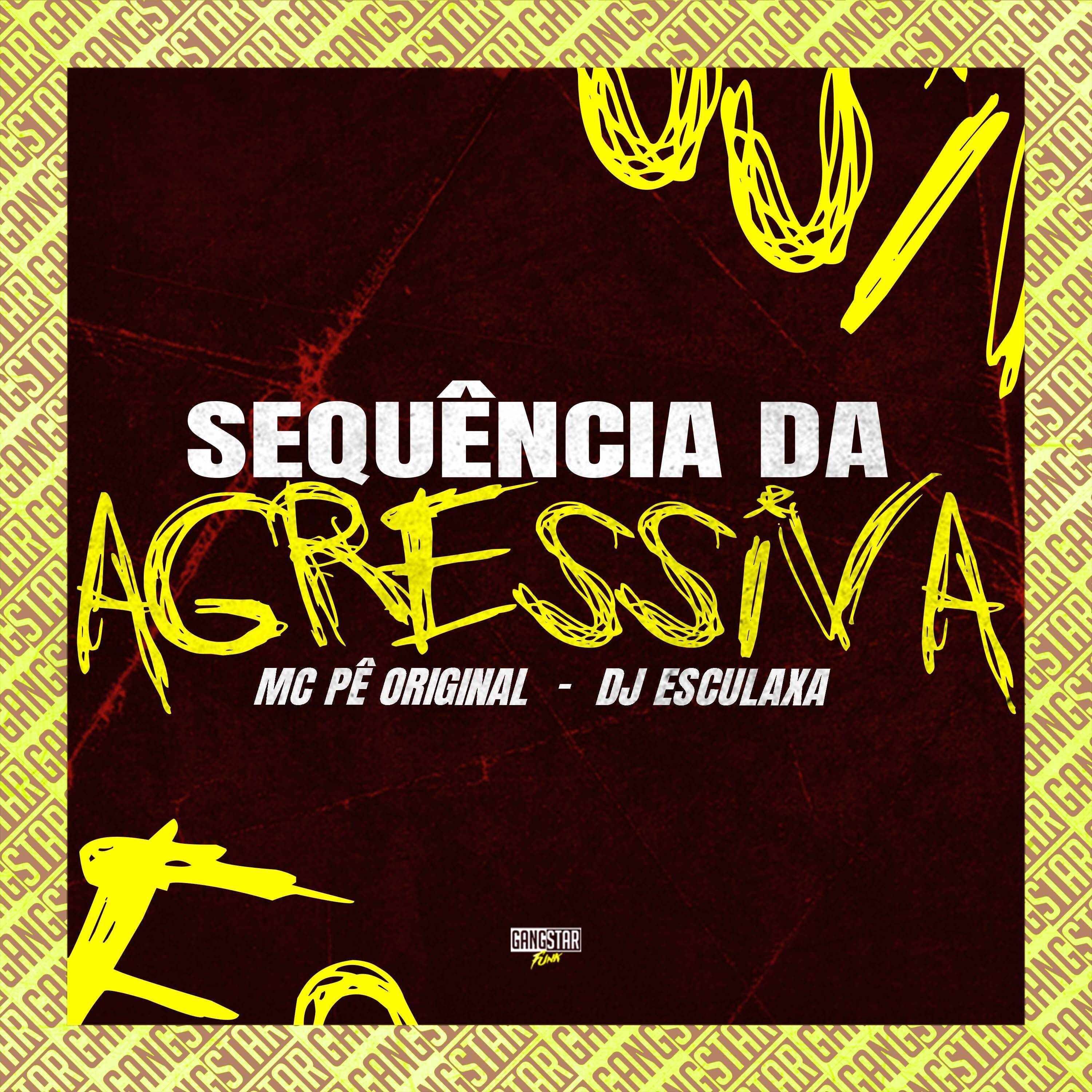 Постер альбома Sequência da Agressiva
