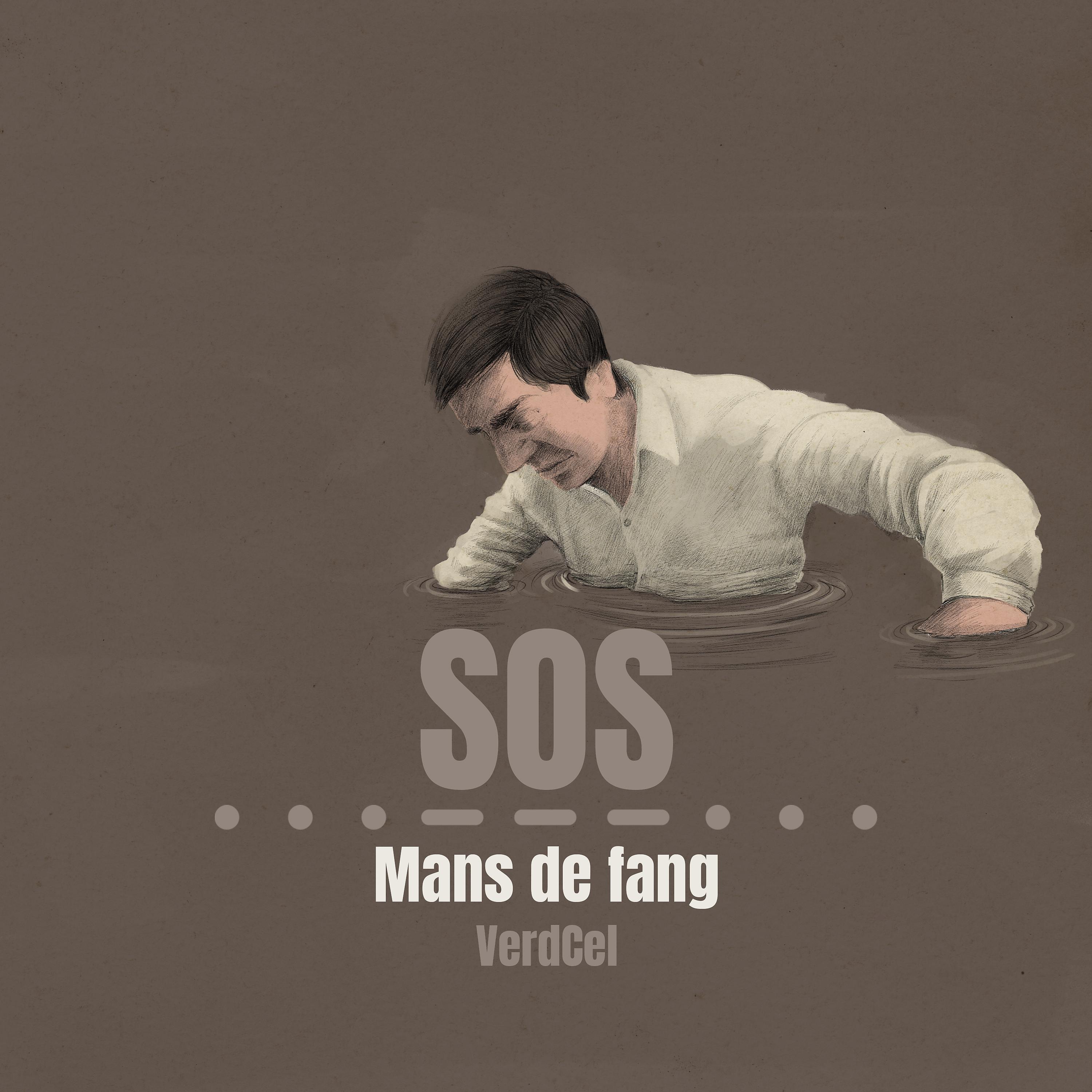 Постер альбома Mans de fang (trencadís)
