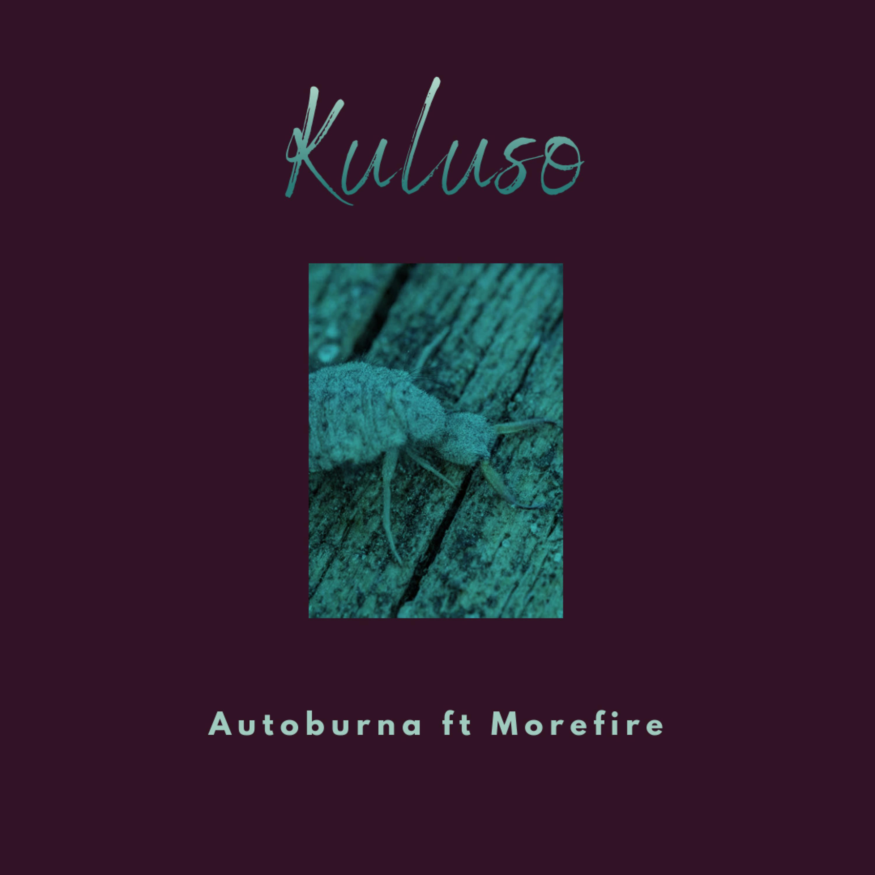 Постер альбома Kuluso