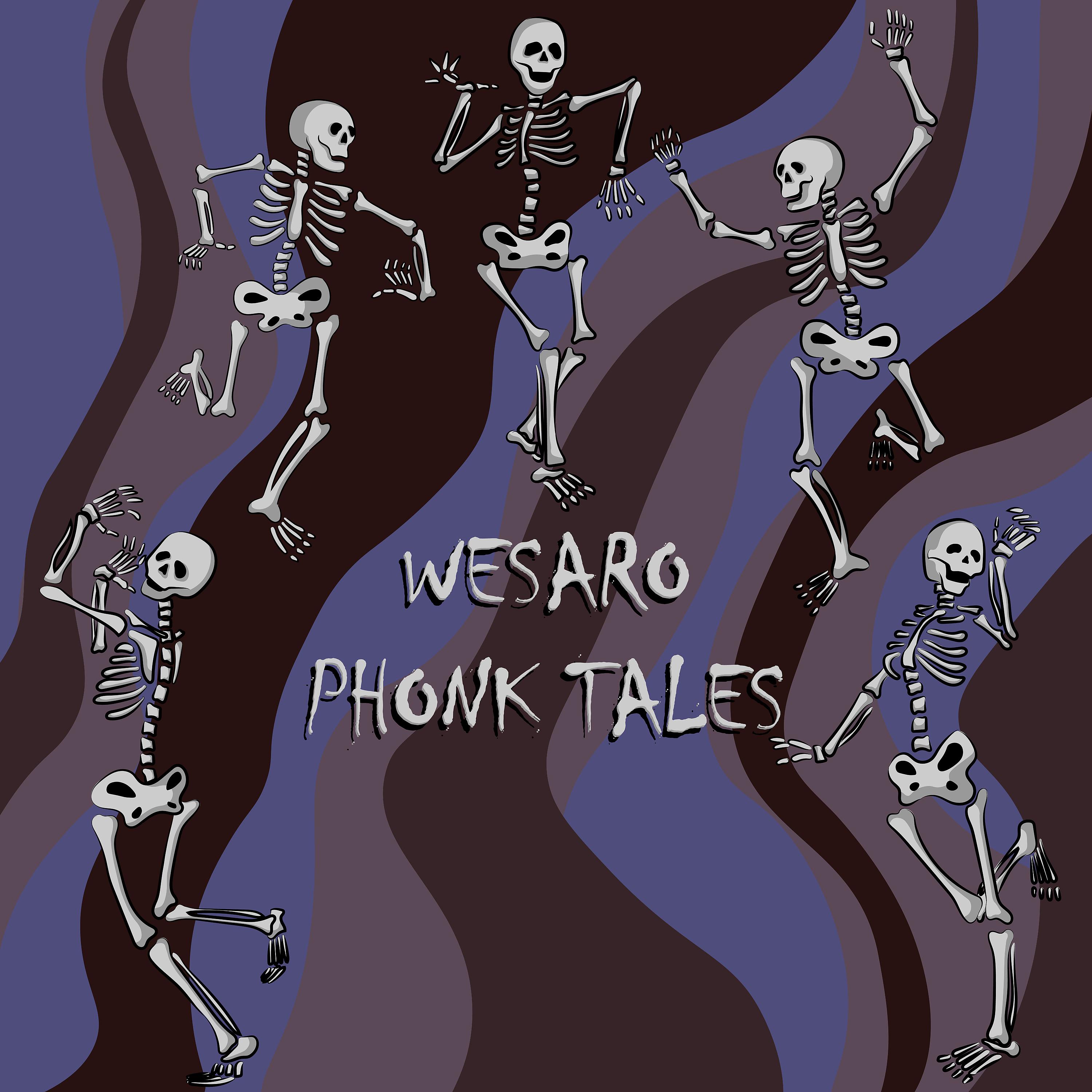 Постер альбома Phonk Tales